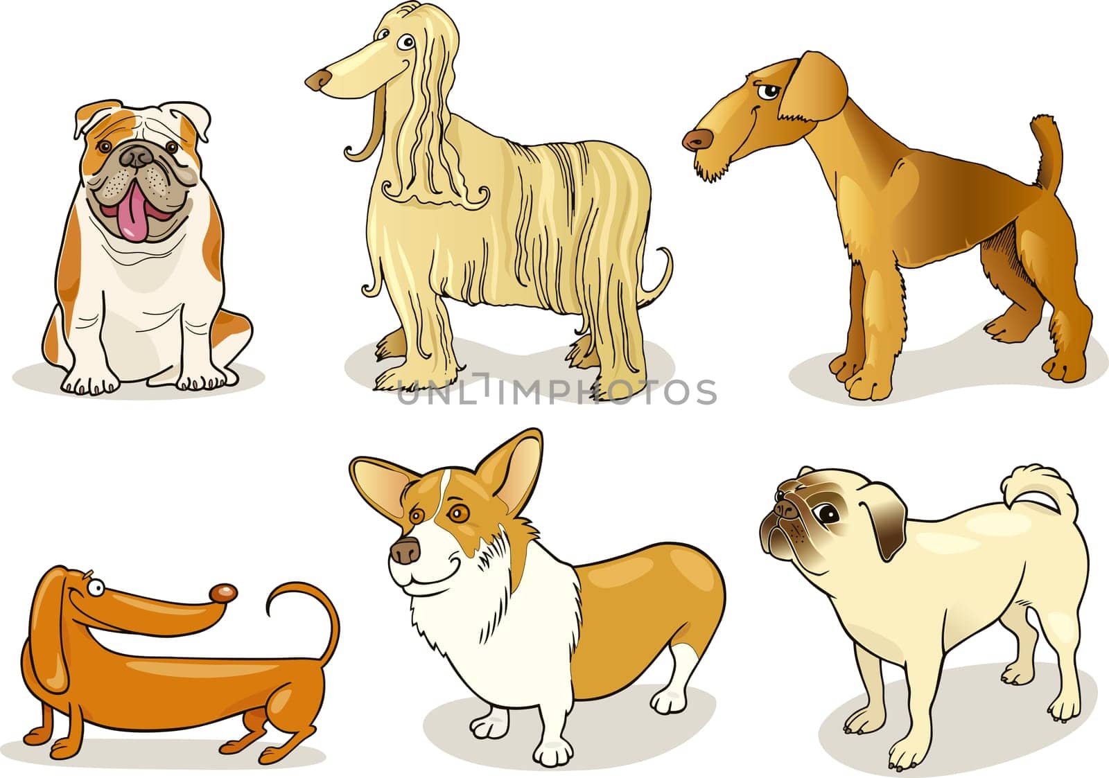 cartoon illustration of six purebred dogs
