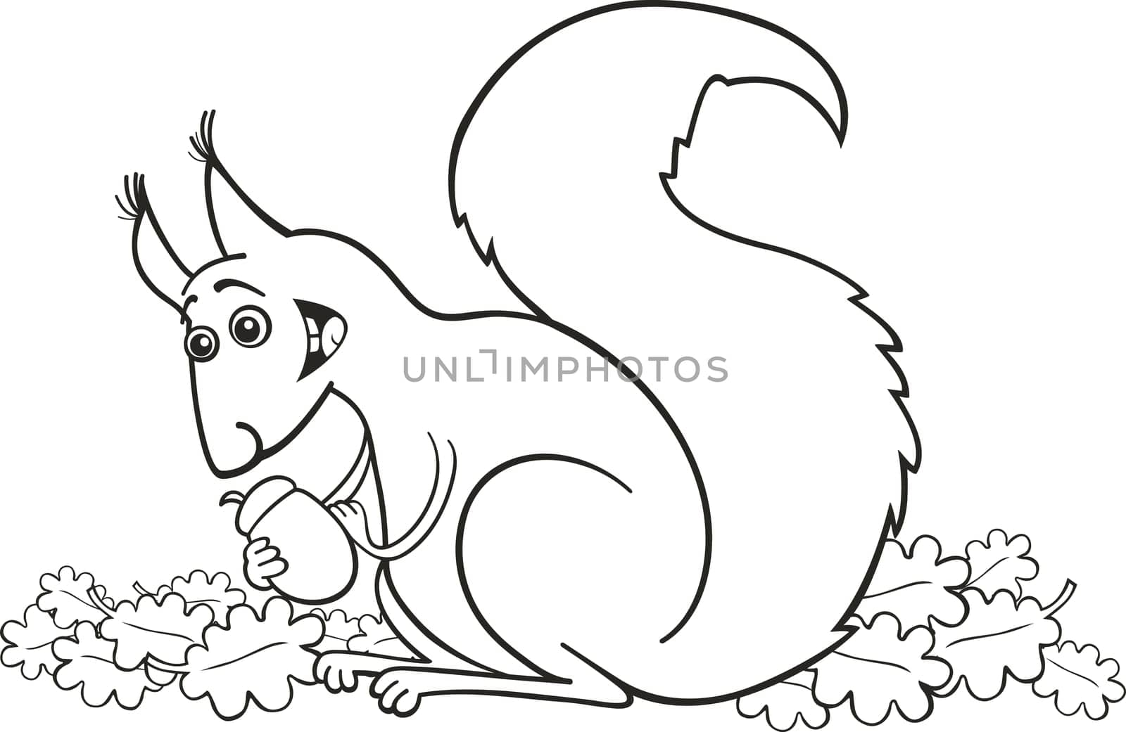 illustration of funny red squirrel with nut for coloring book