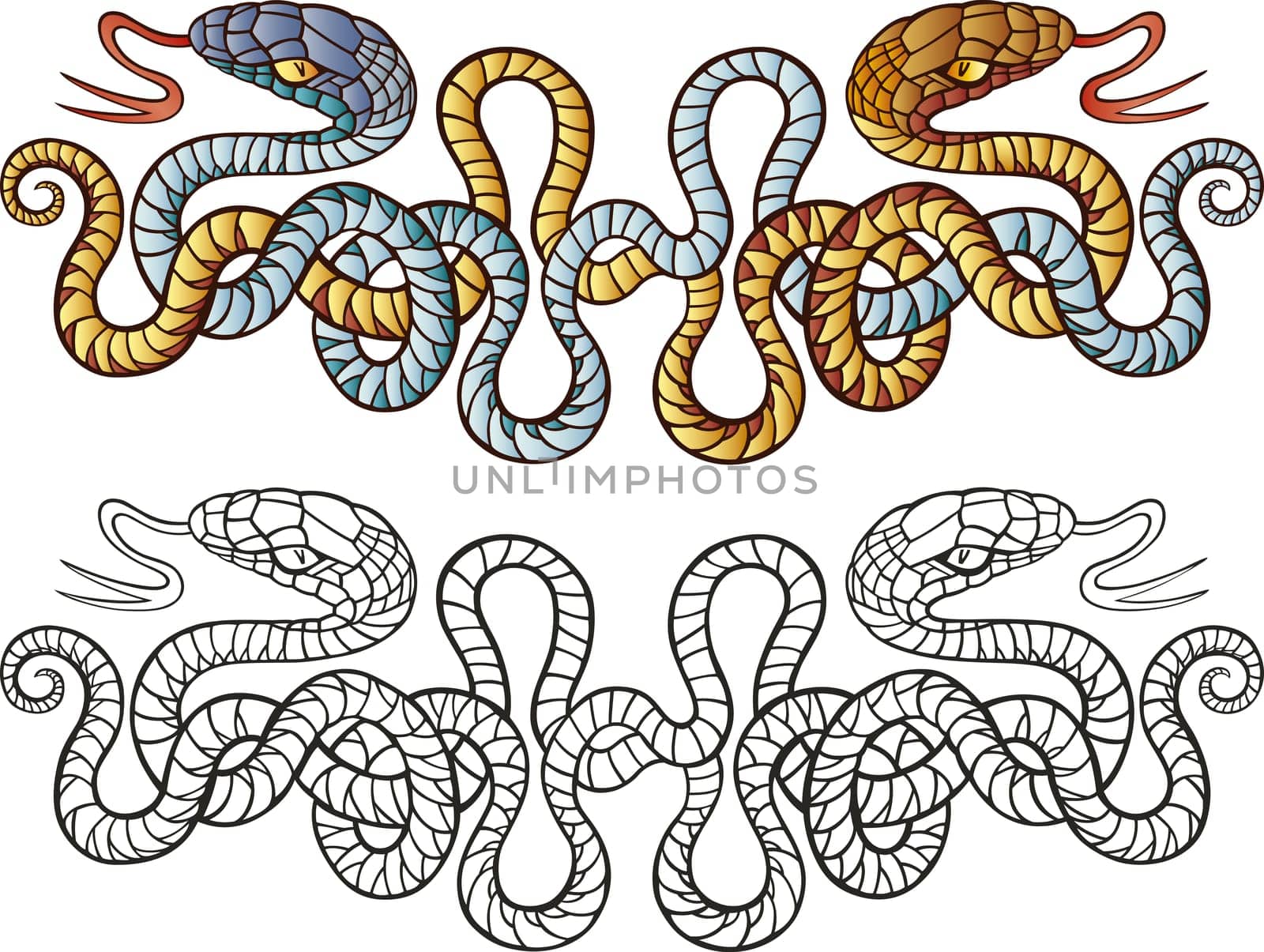 Illustration of two snakes tattoo design