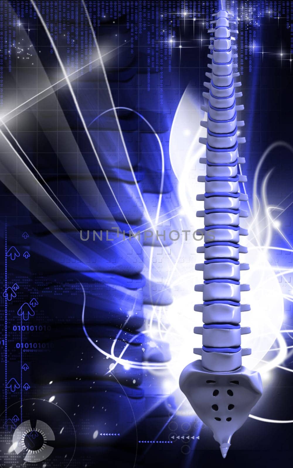 Digital illustration of back bone in colour background