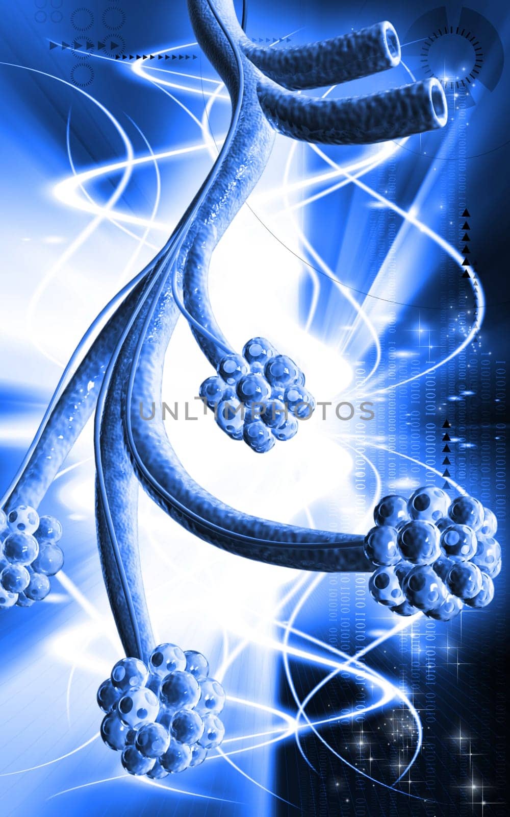 Digital illustration of alveoli in colour background