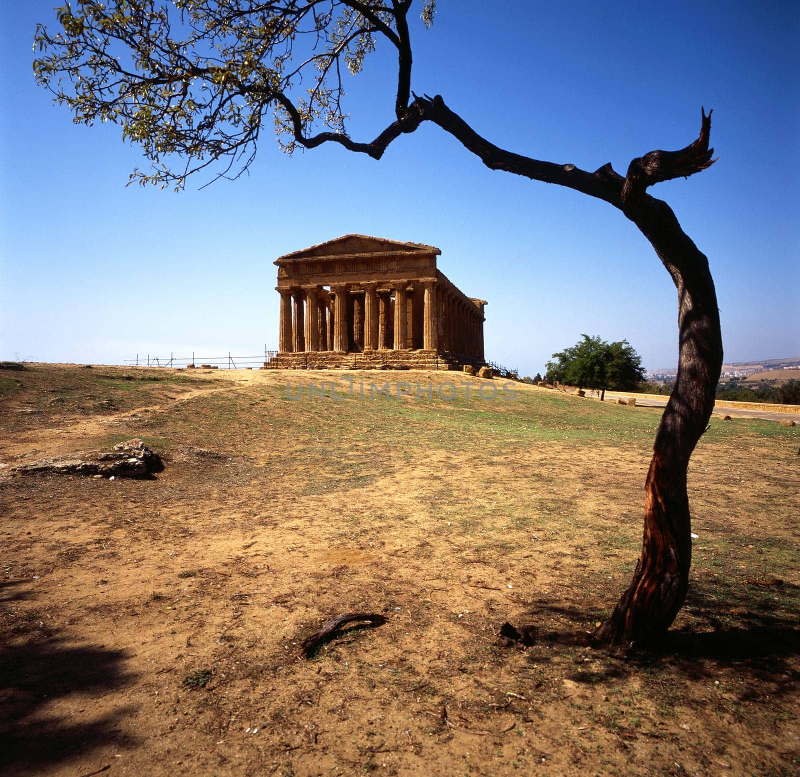 Temple of Concordia (430 BC ), Agrigento, Sicily