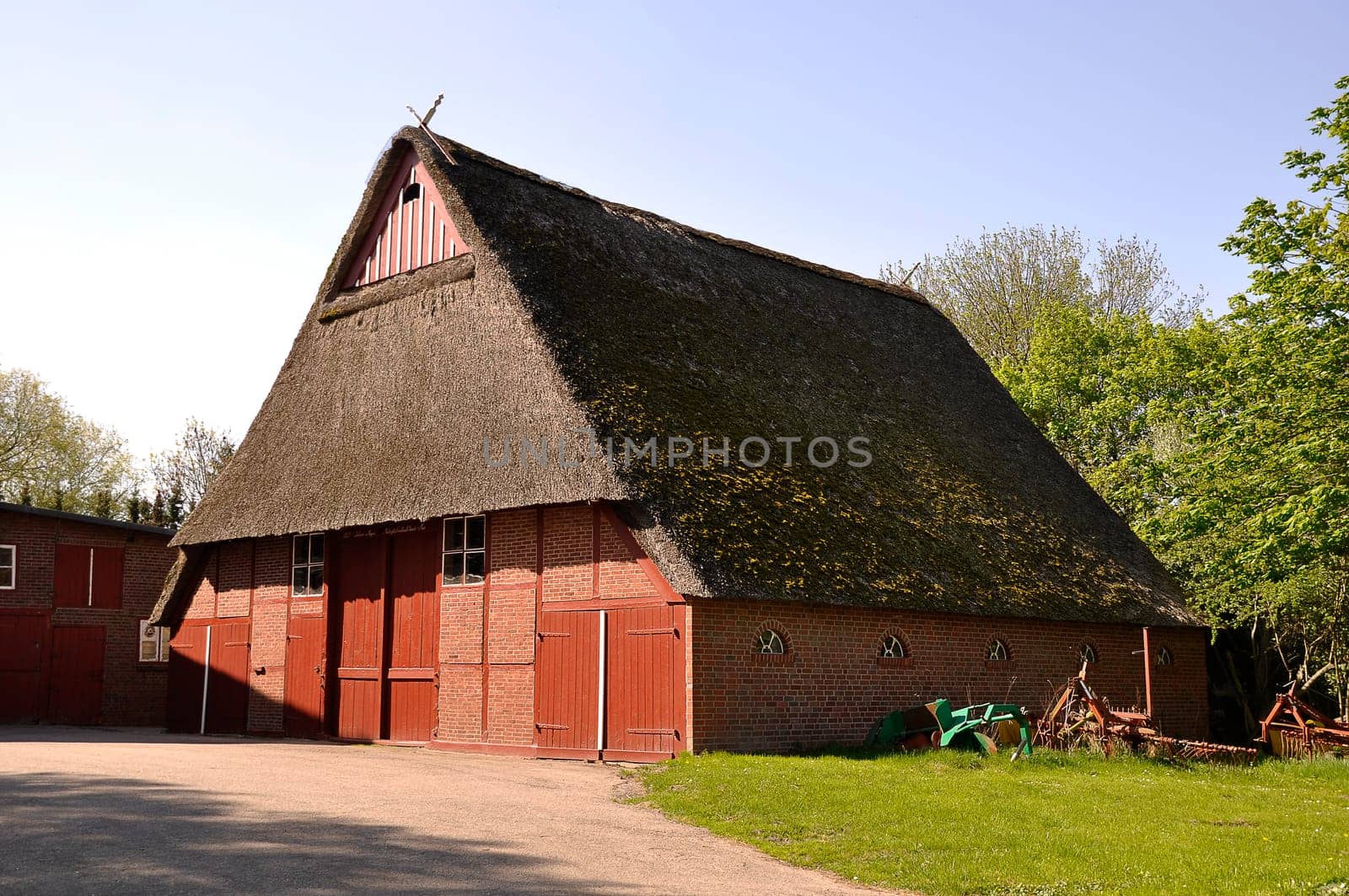Thatched roof house