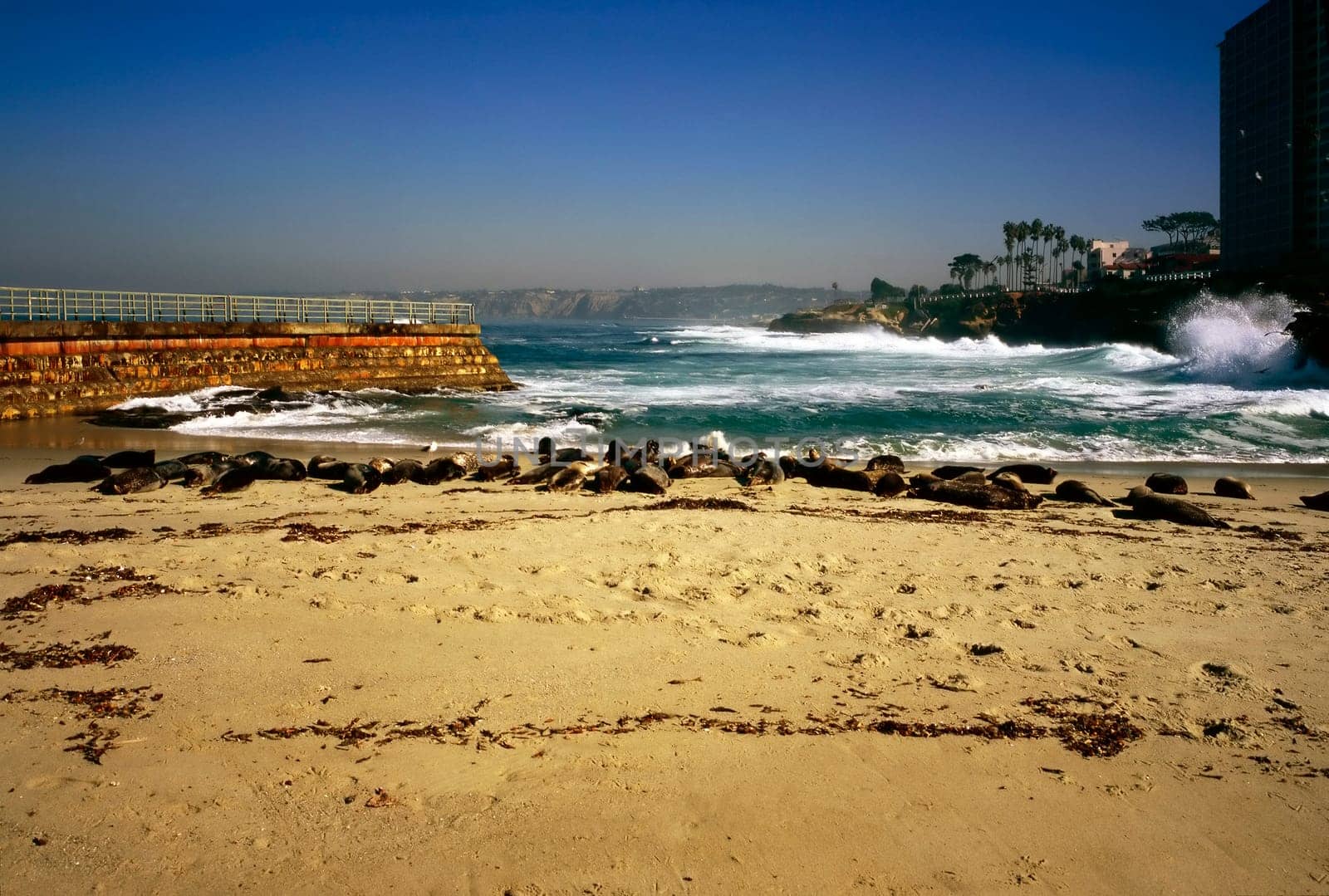 Seal Beach, California