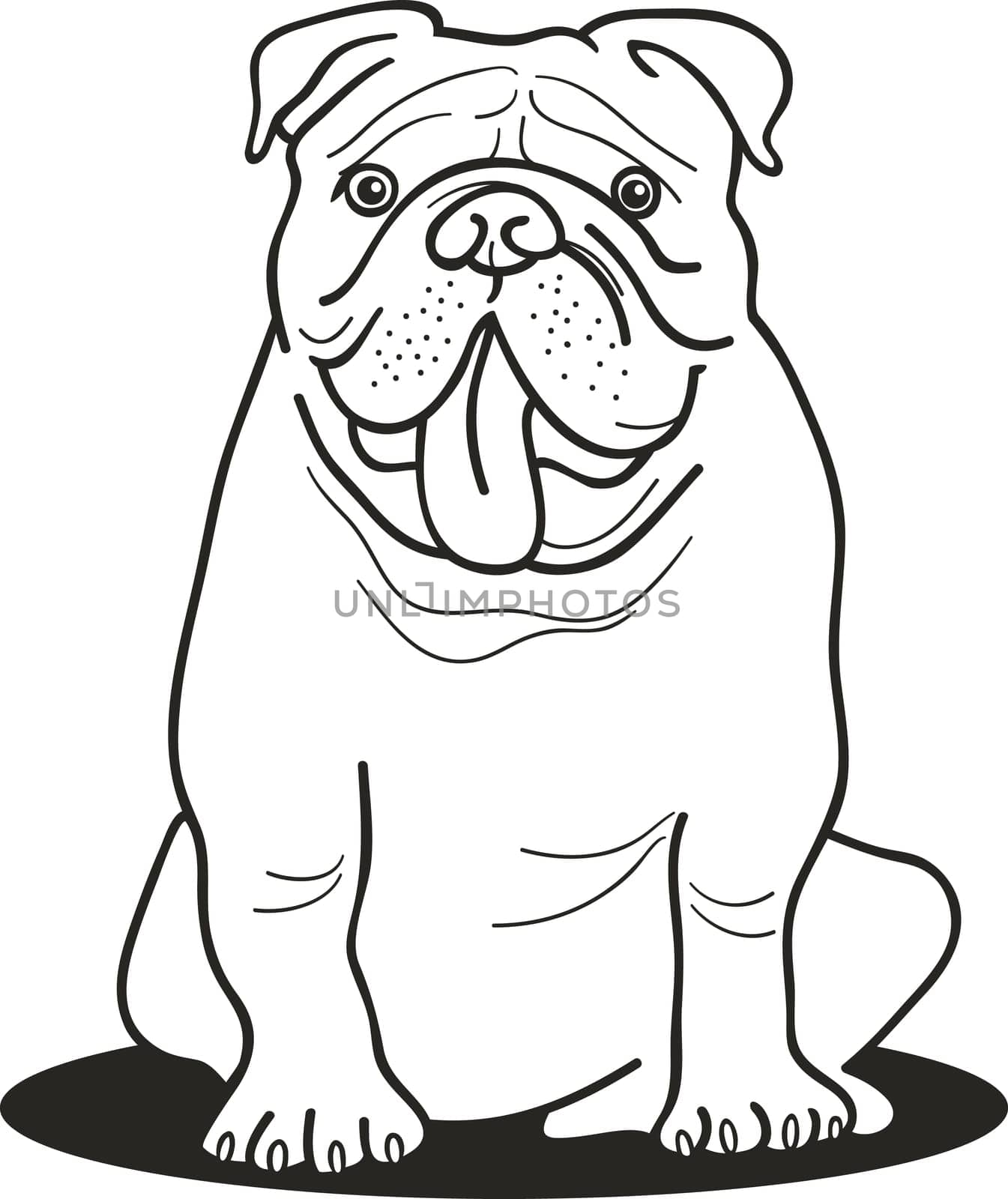 illustration of bulldog for coloring book