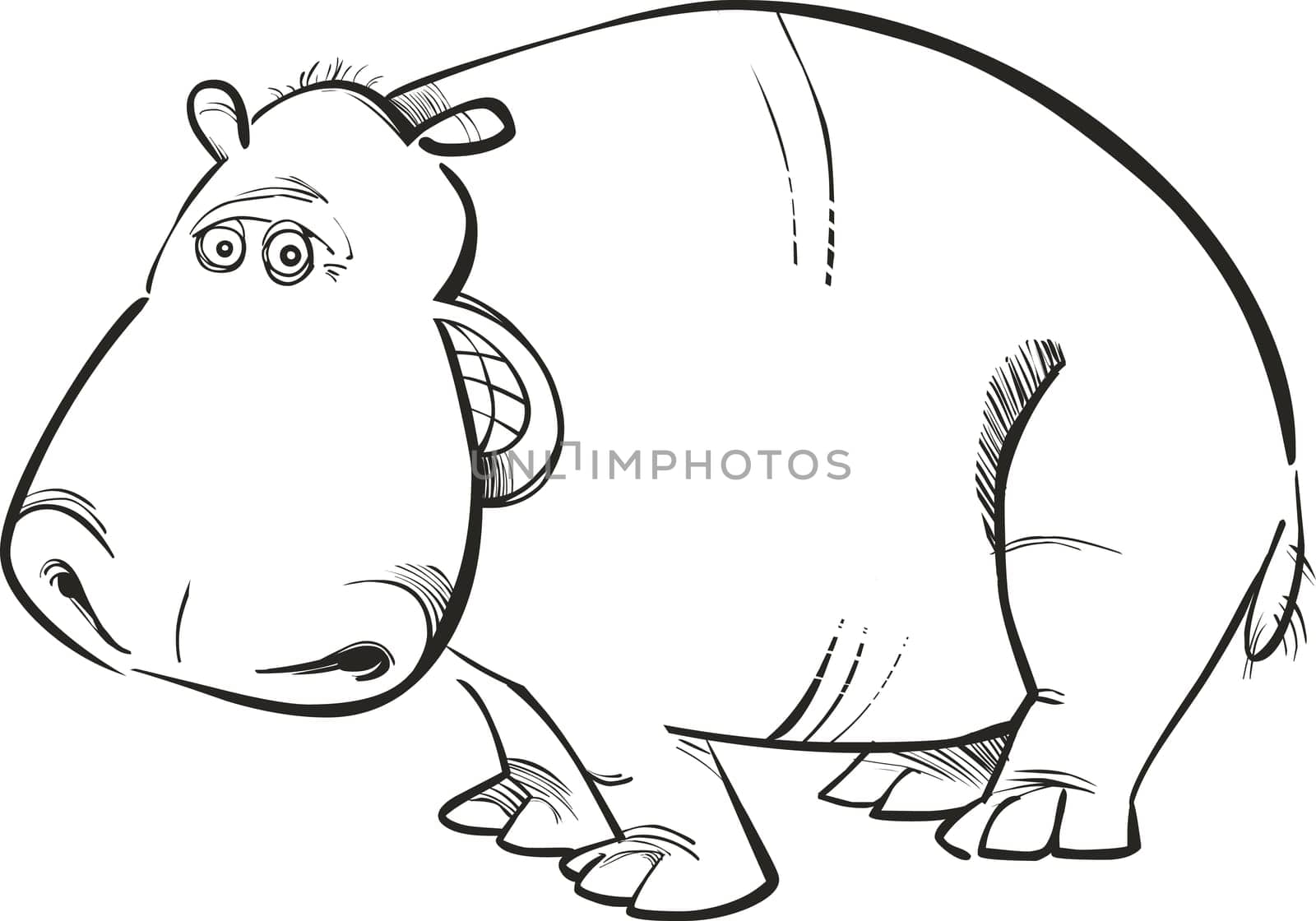 Illustration of funny Hippopotamus for coloring book