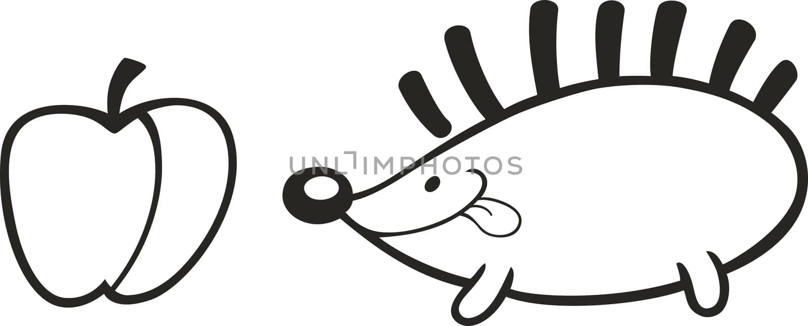 Illustration of hedgehog and apple for coloring book