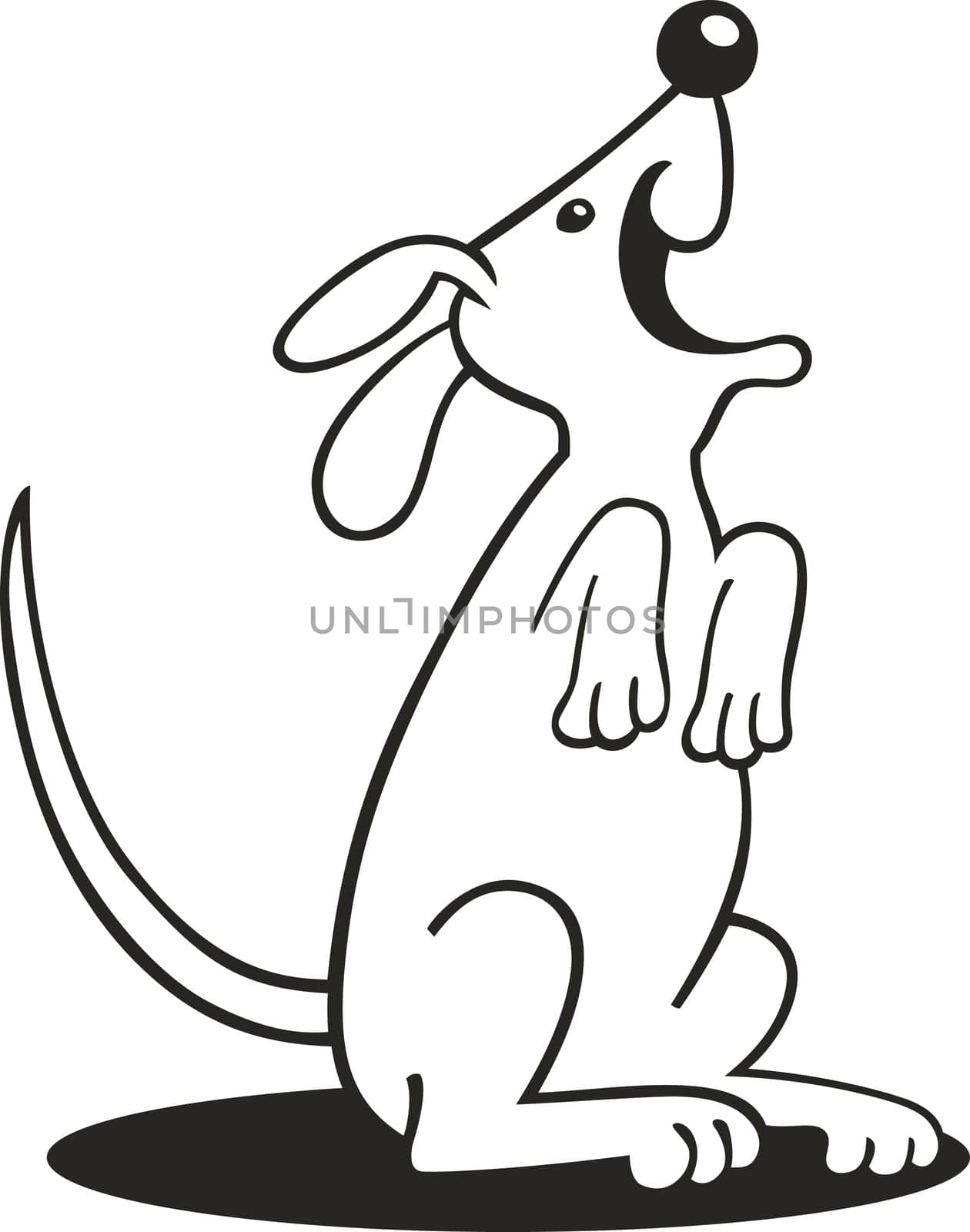illustration of Happy barking dog for coloring book