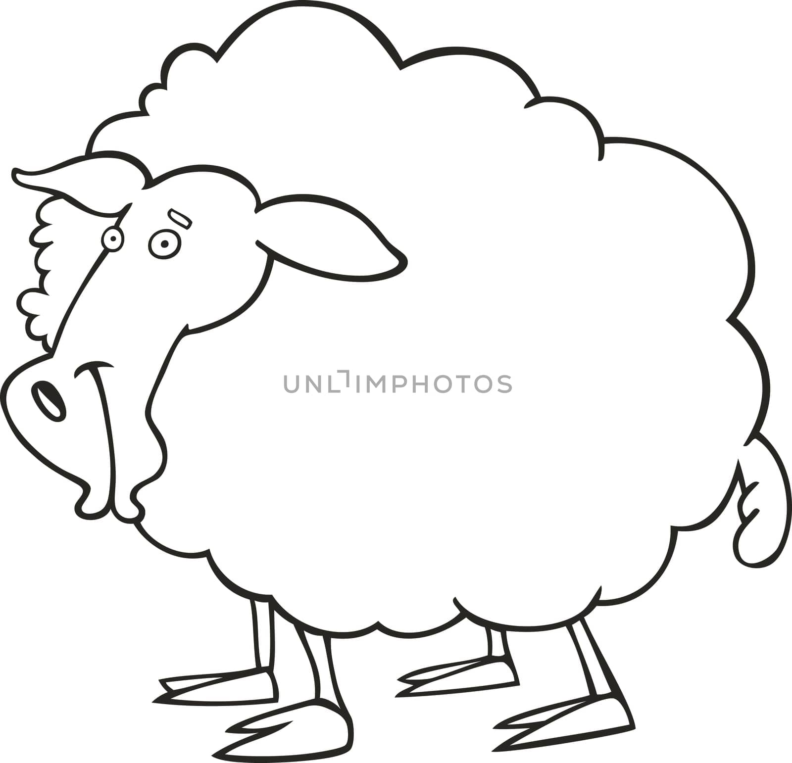 illustration of farm sheep for coloring book