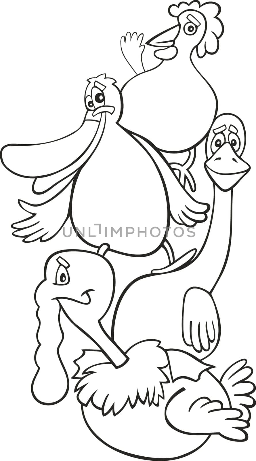 illustration of Farm birds for coloring book