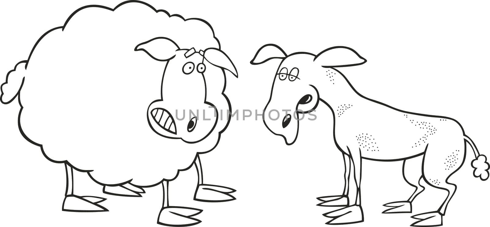 Illustration of frightened sheep and shaved one for coloring book