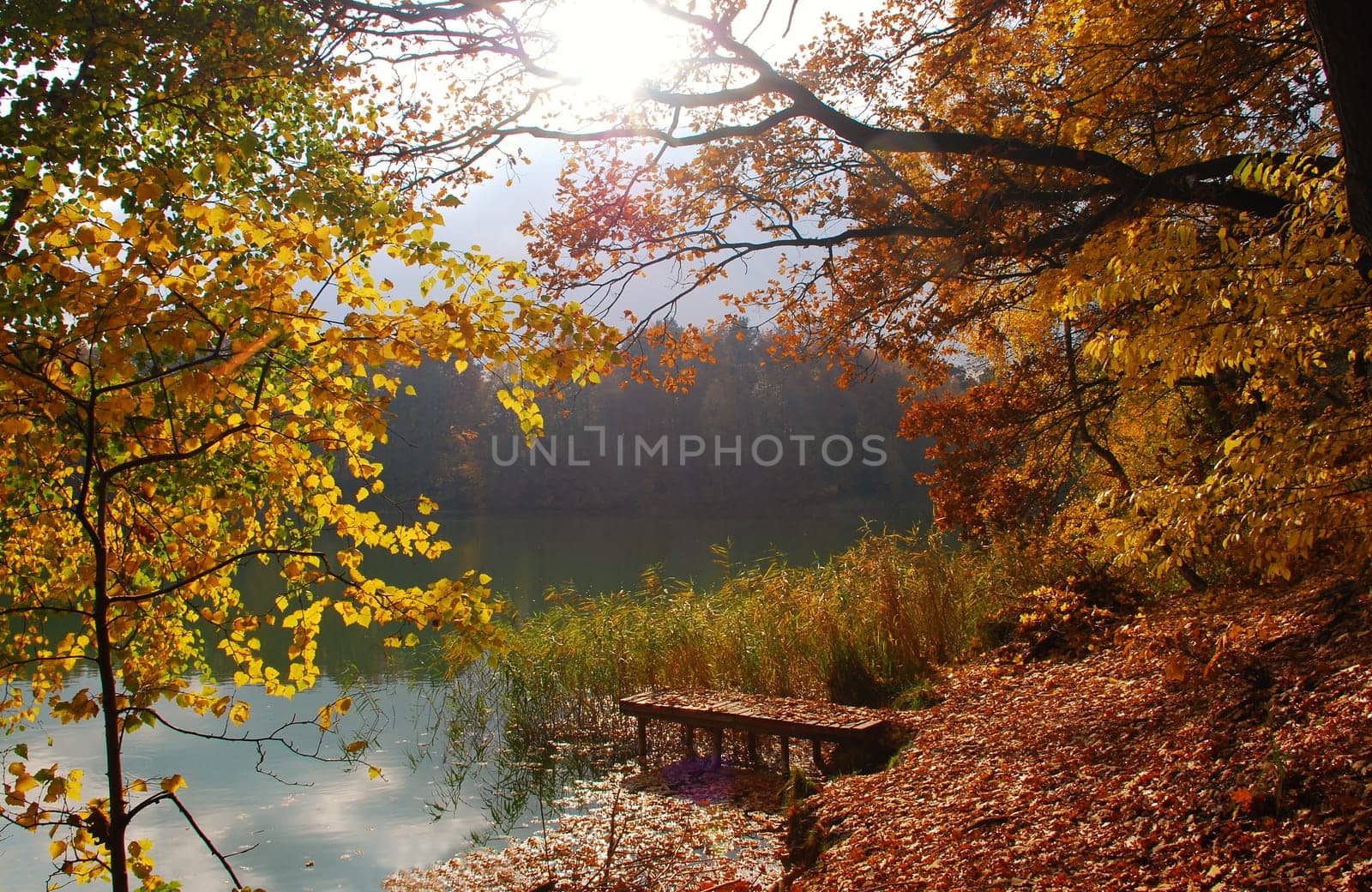 Autumn by the lake
