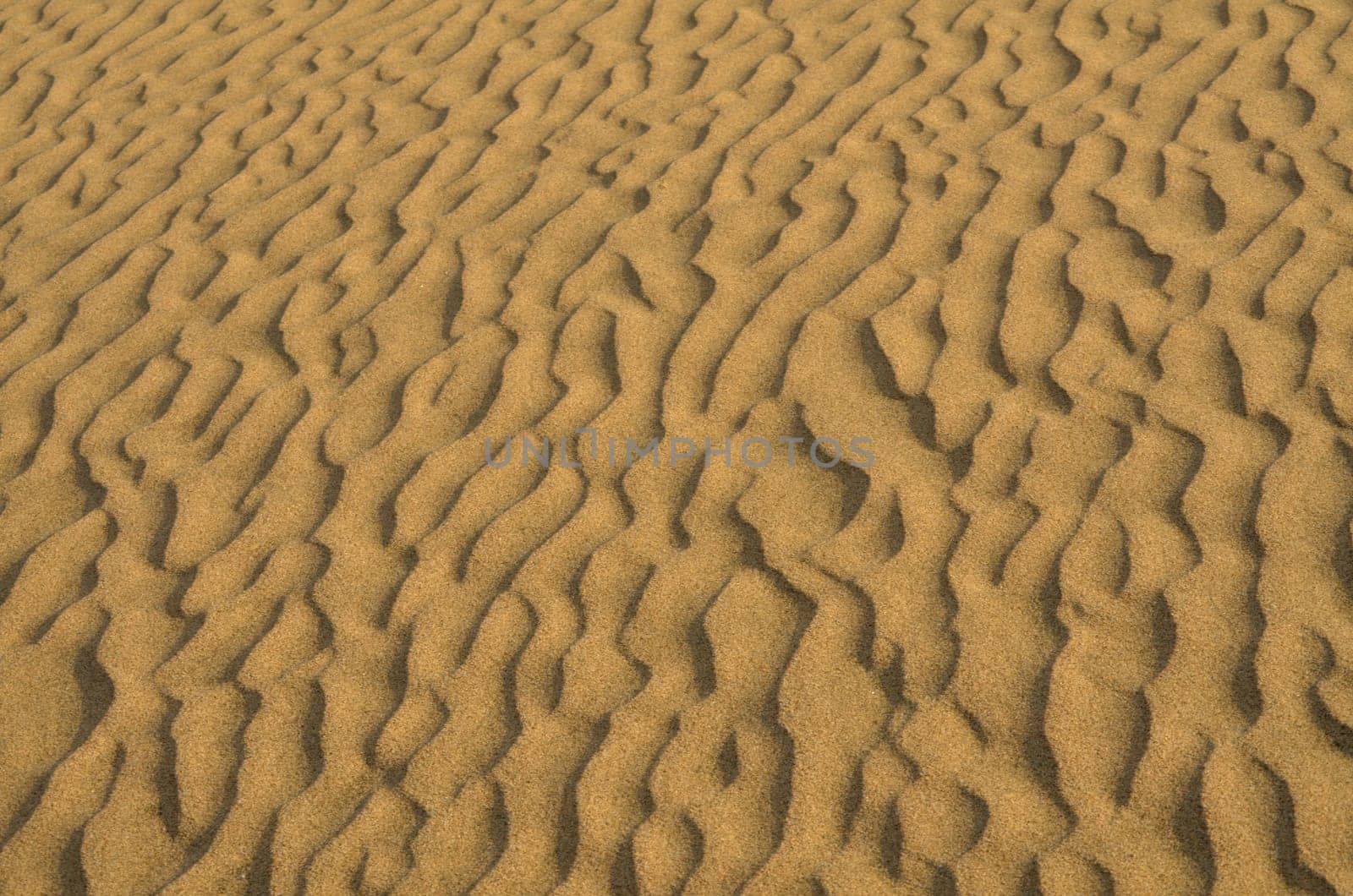Sand dunes in Gran Canaria