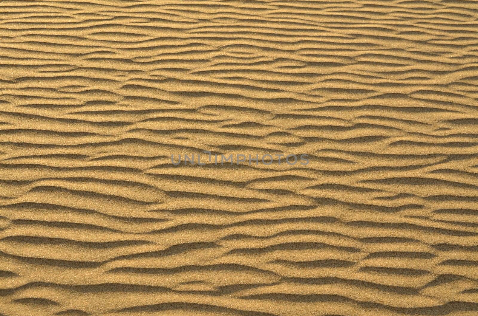 Sand dunes in Gran Canaria