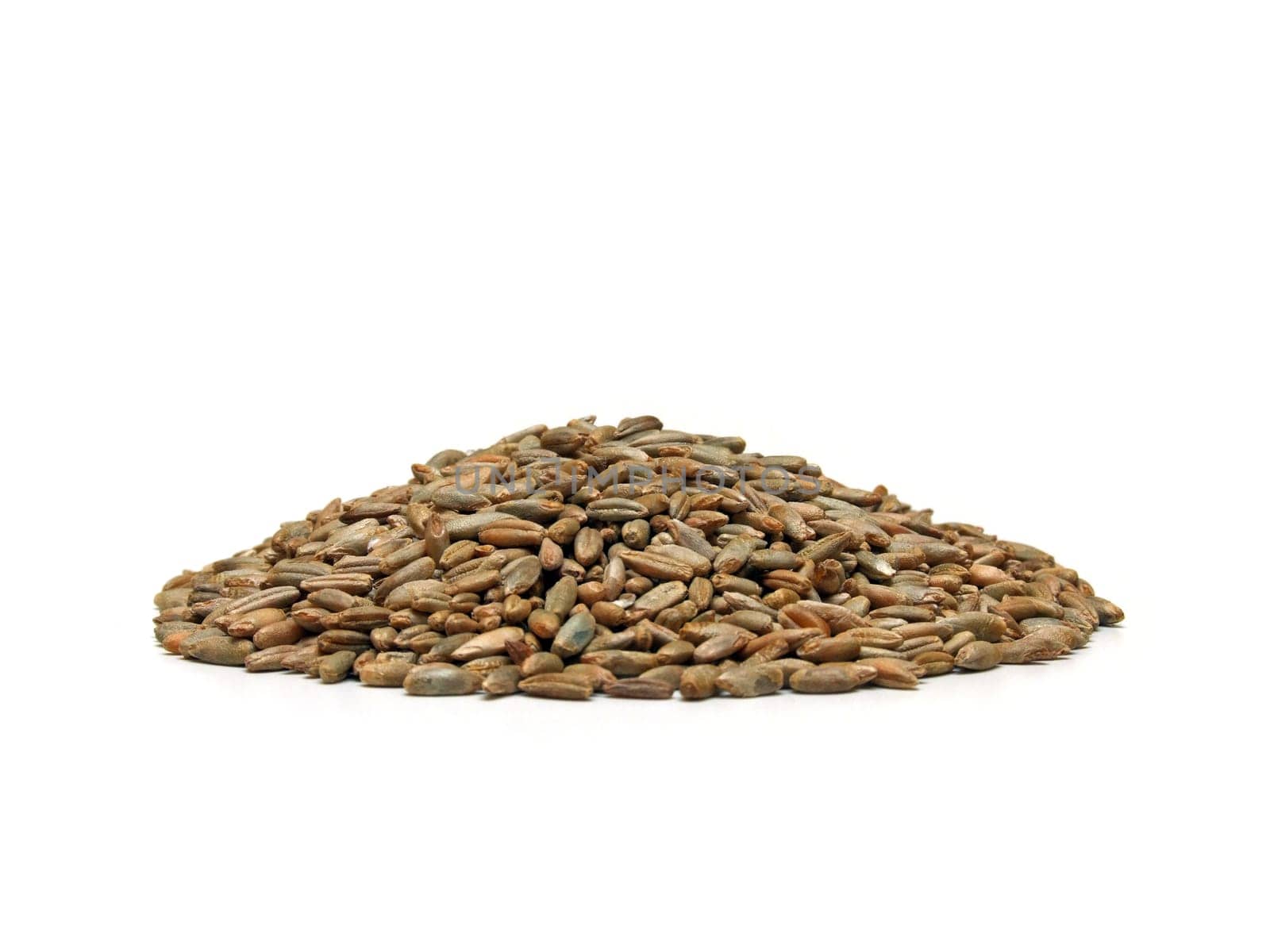 some rye