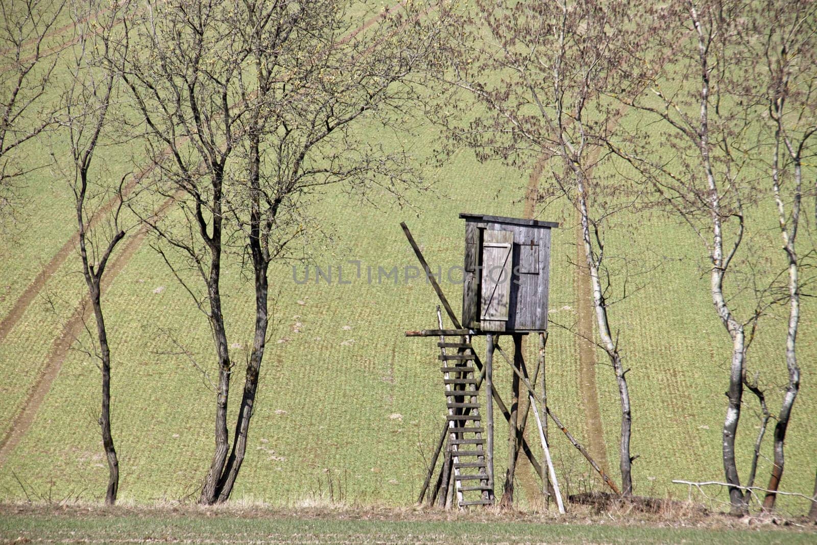 Raised hide