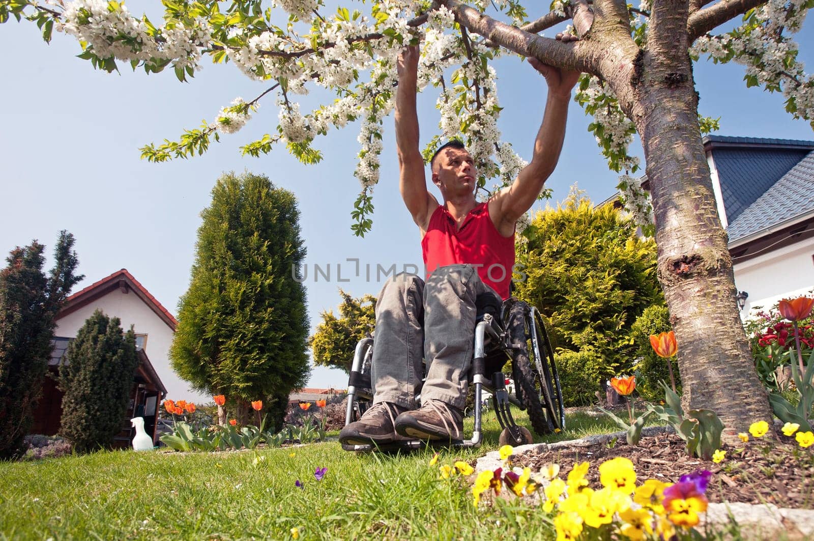 Spring awakening