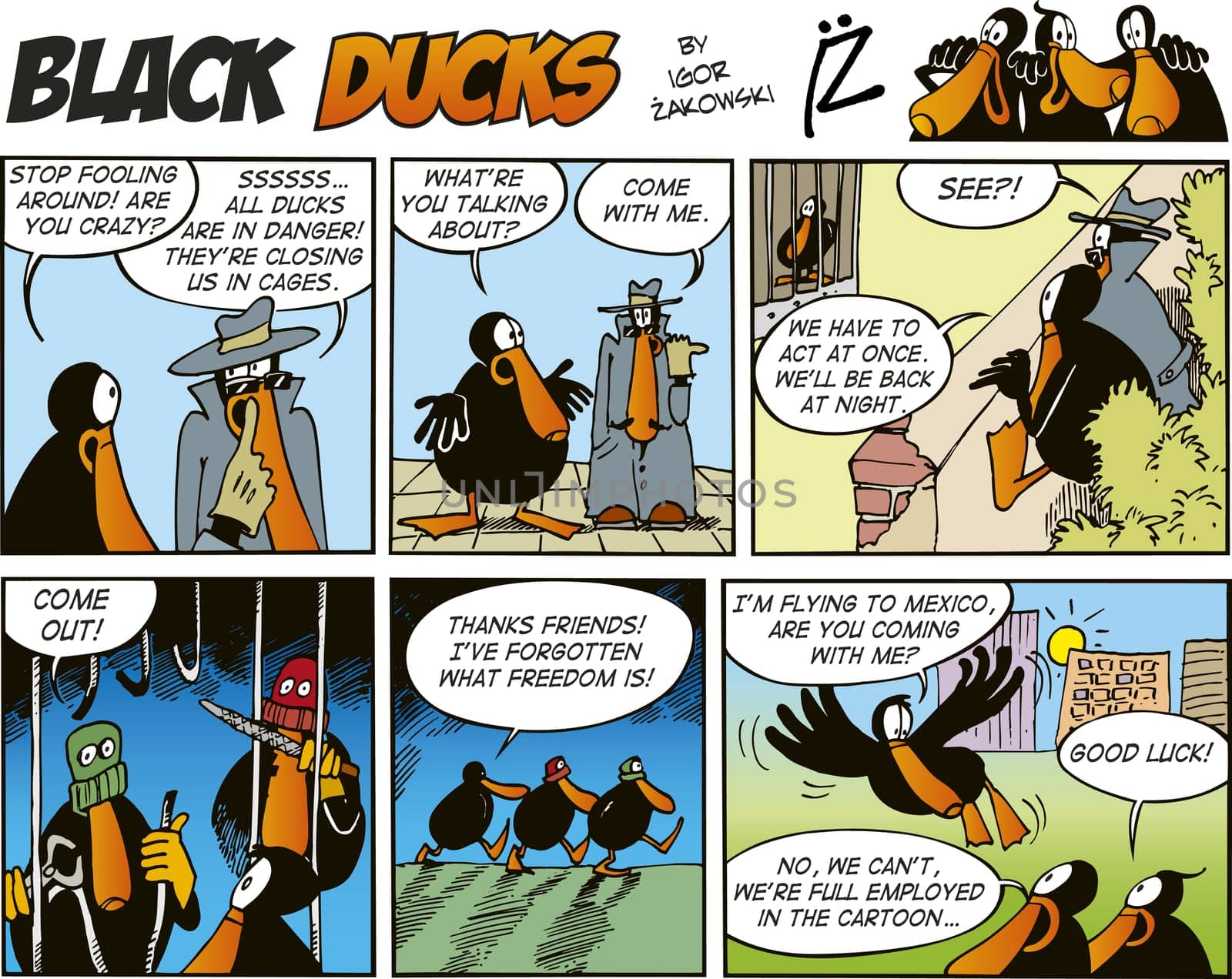 Black Ducks Comic Strip episode 60