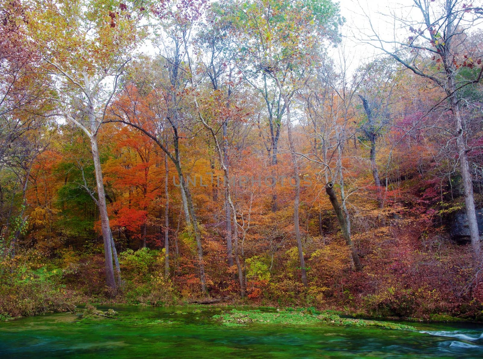 beautiful scene of missouri in autumn or fall