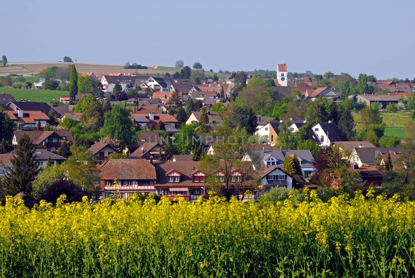 Steinmaur