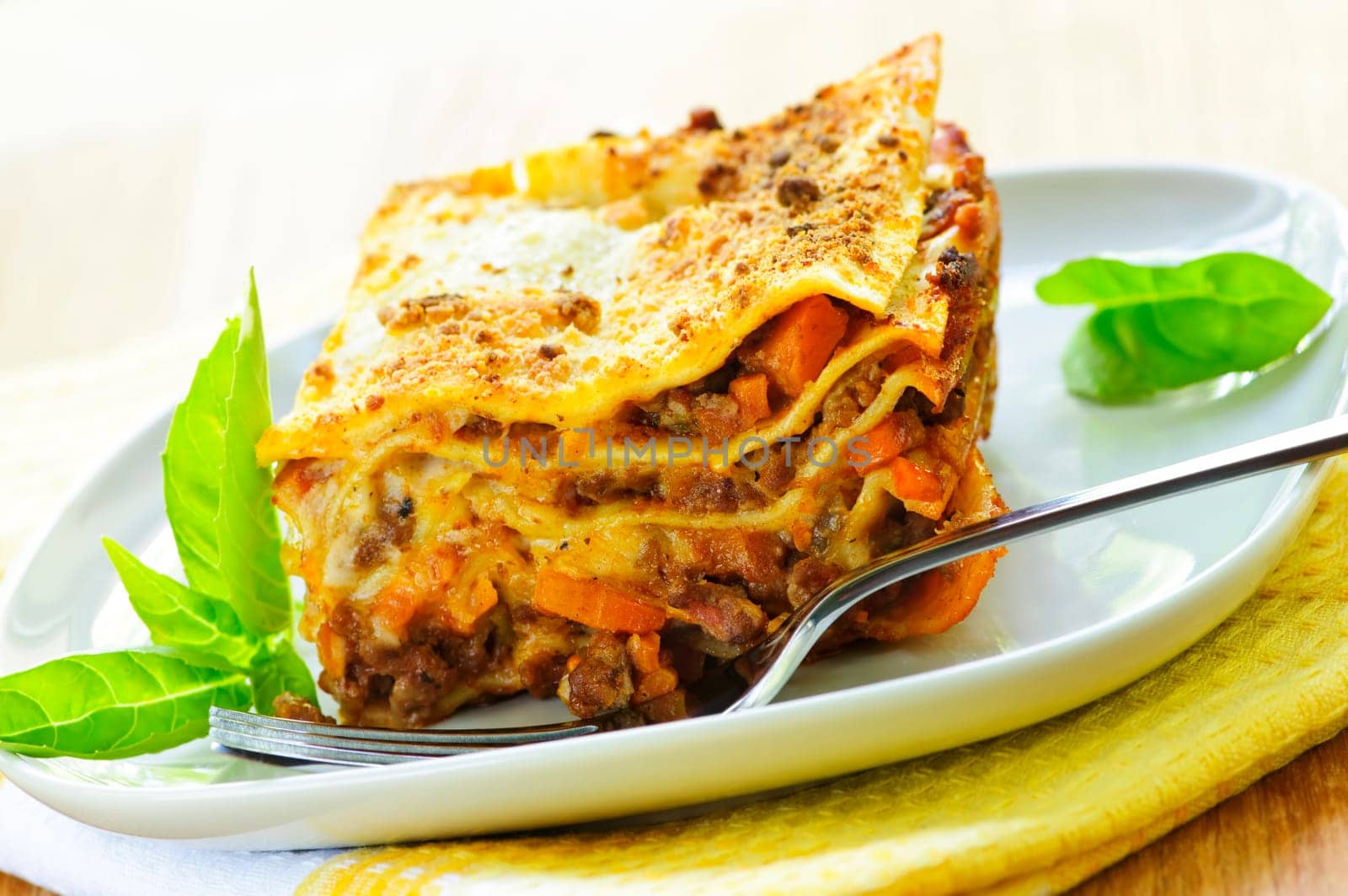 Serving of fresh baked lasagna on a plate