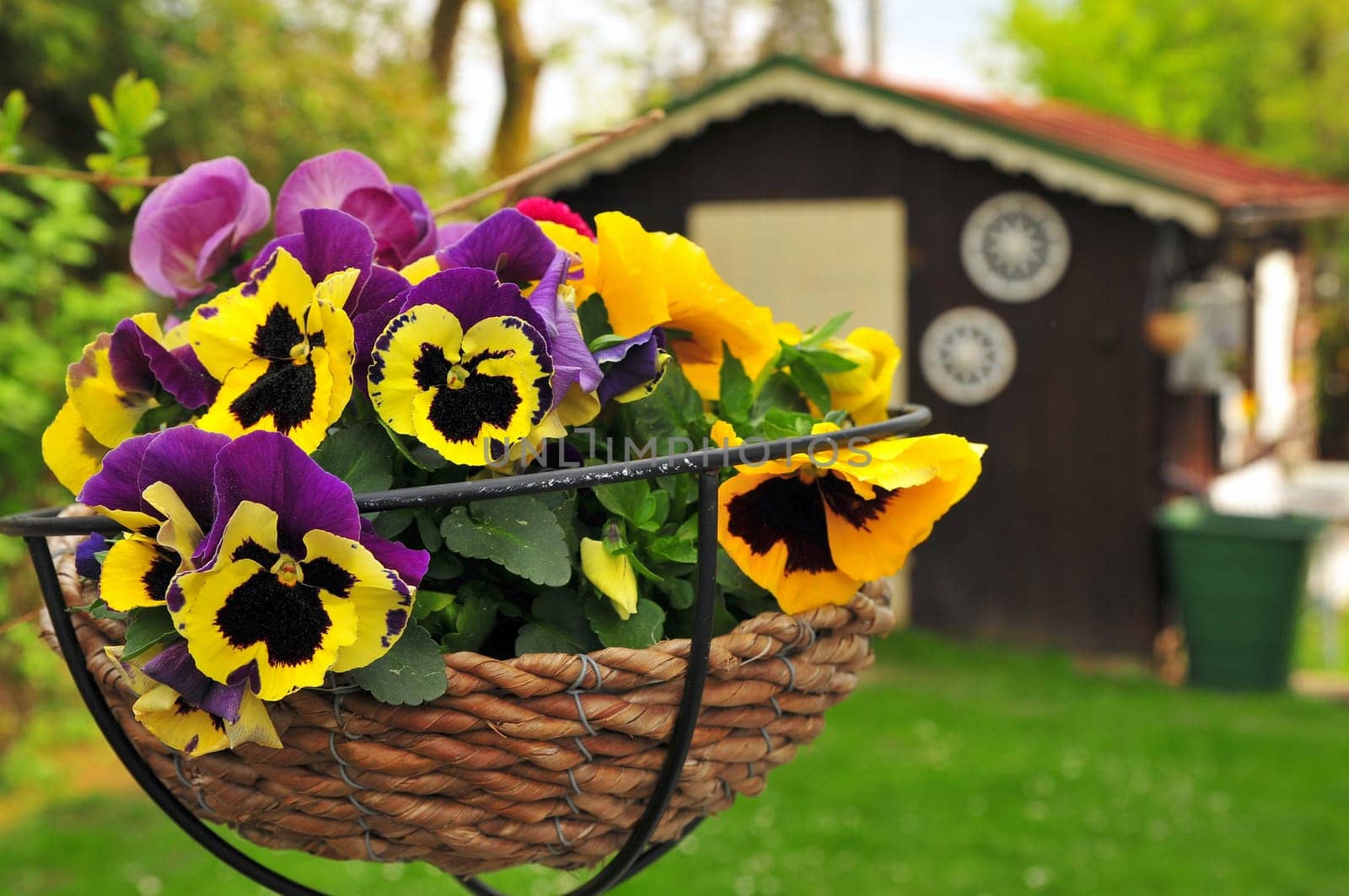 Garden Terrace Spring