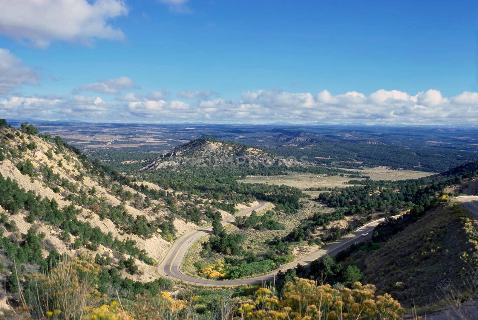 Road in Colorado