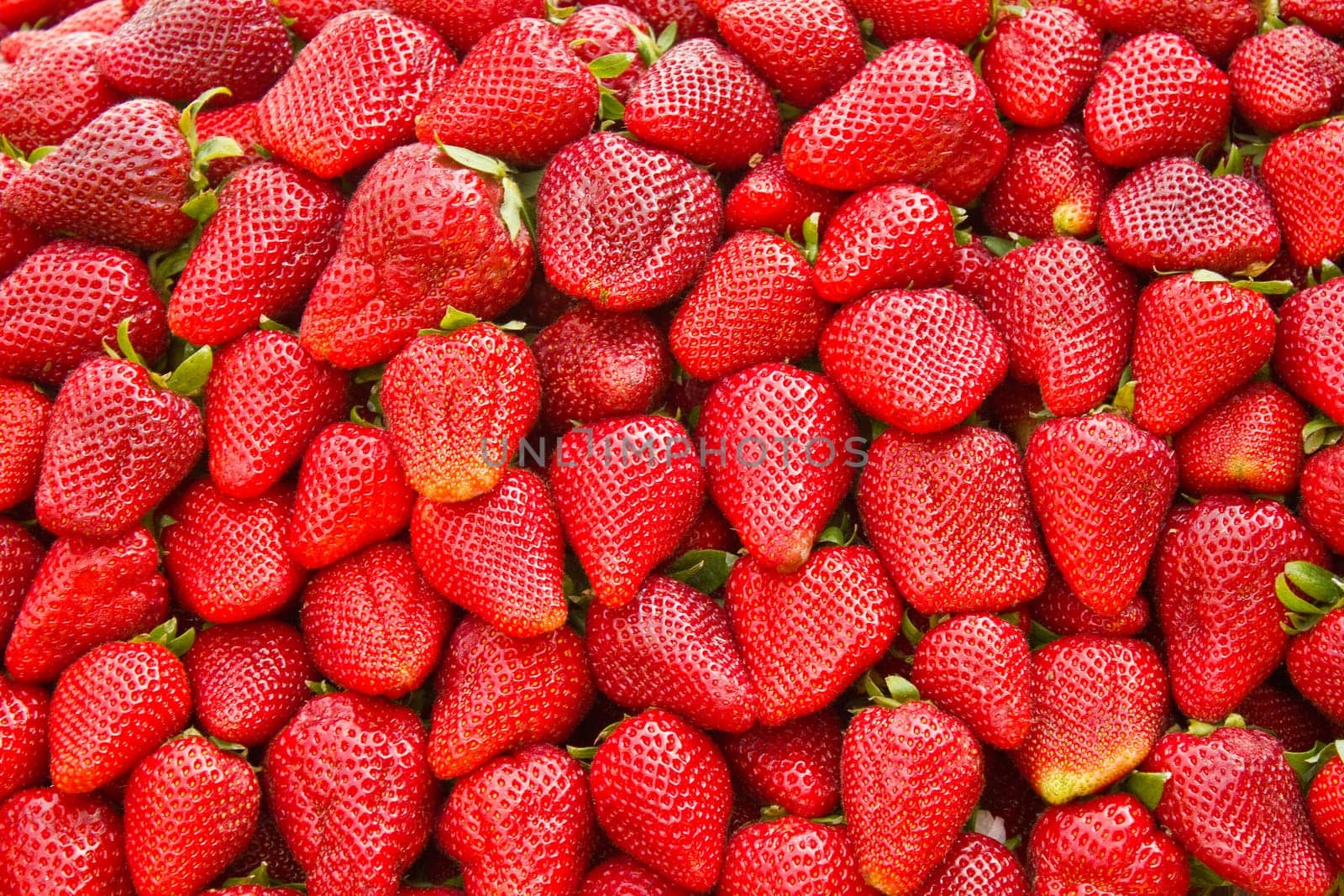 Strawberries Background