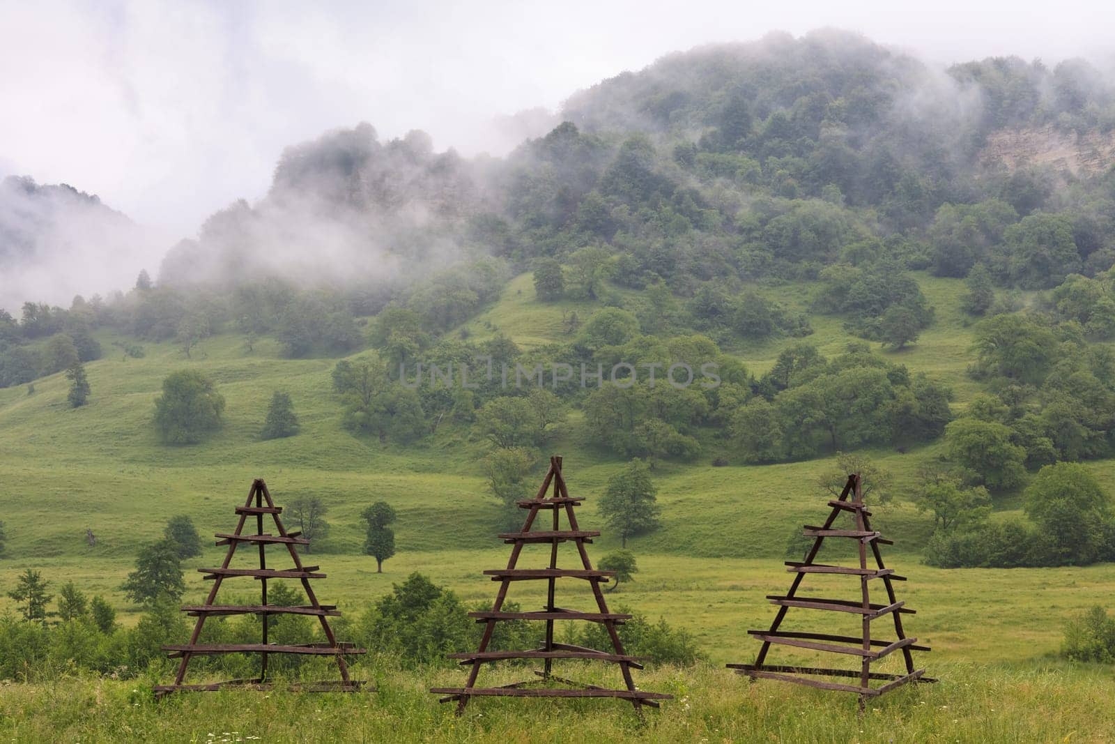 a beautiful green field clouds and fog