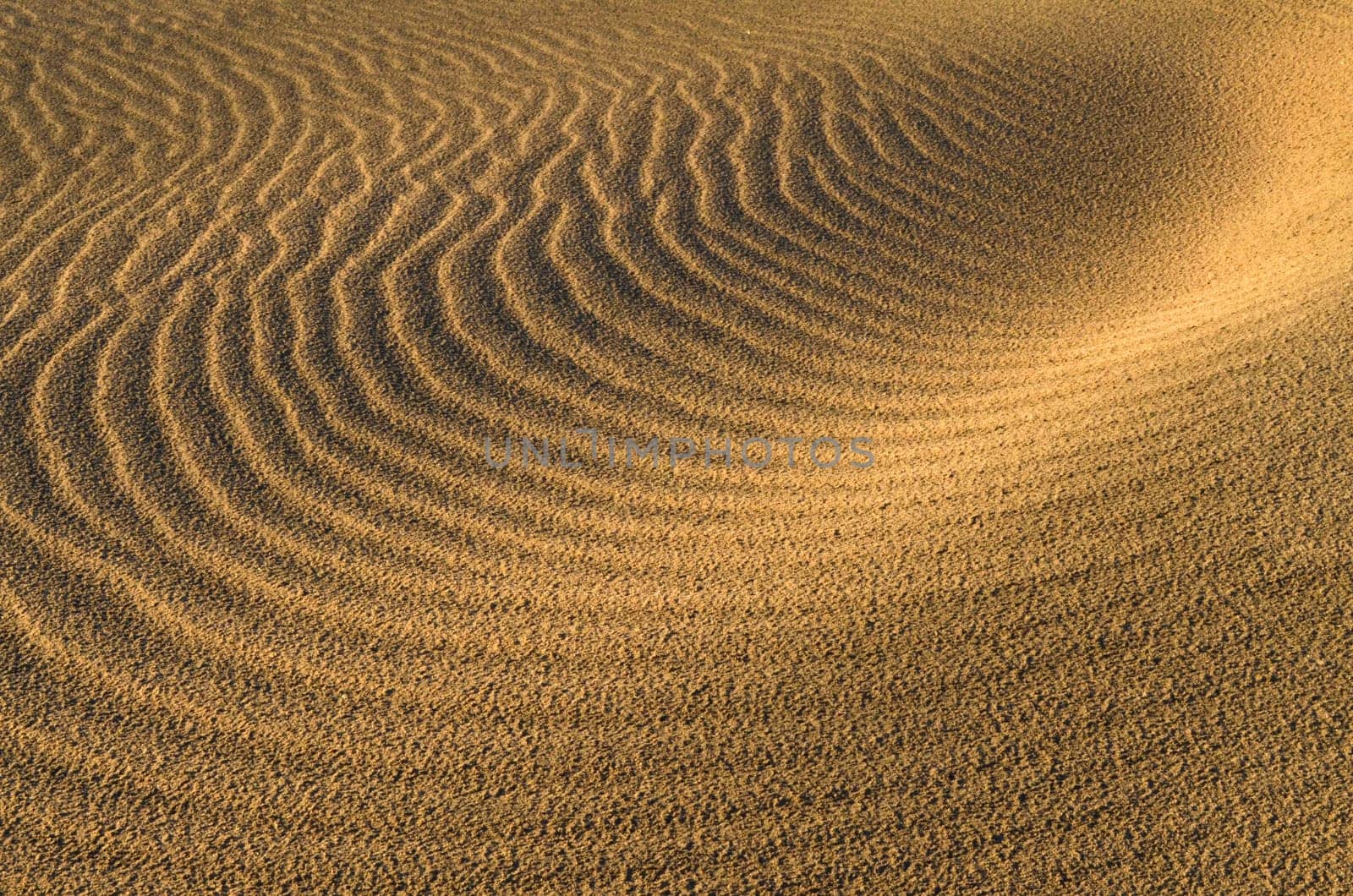 Sand dunes in Gran Canaria