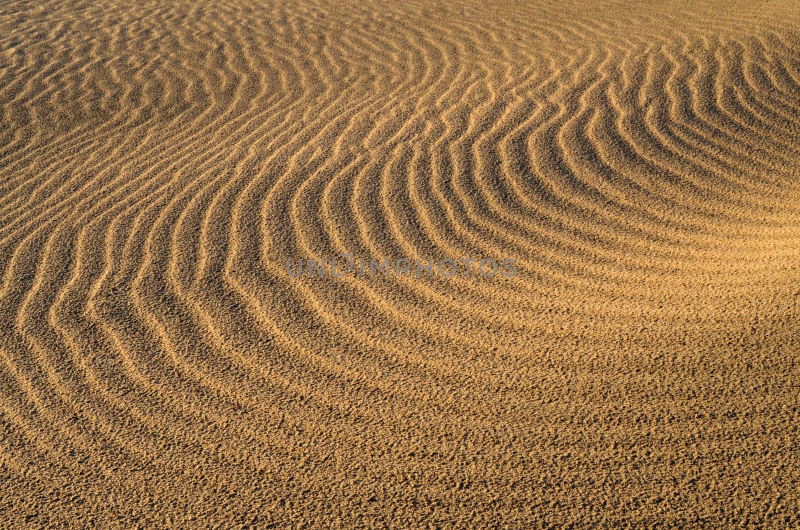 Sand dunes in Gran Canaria