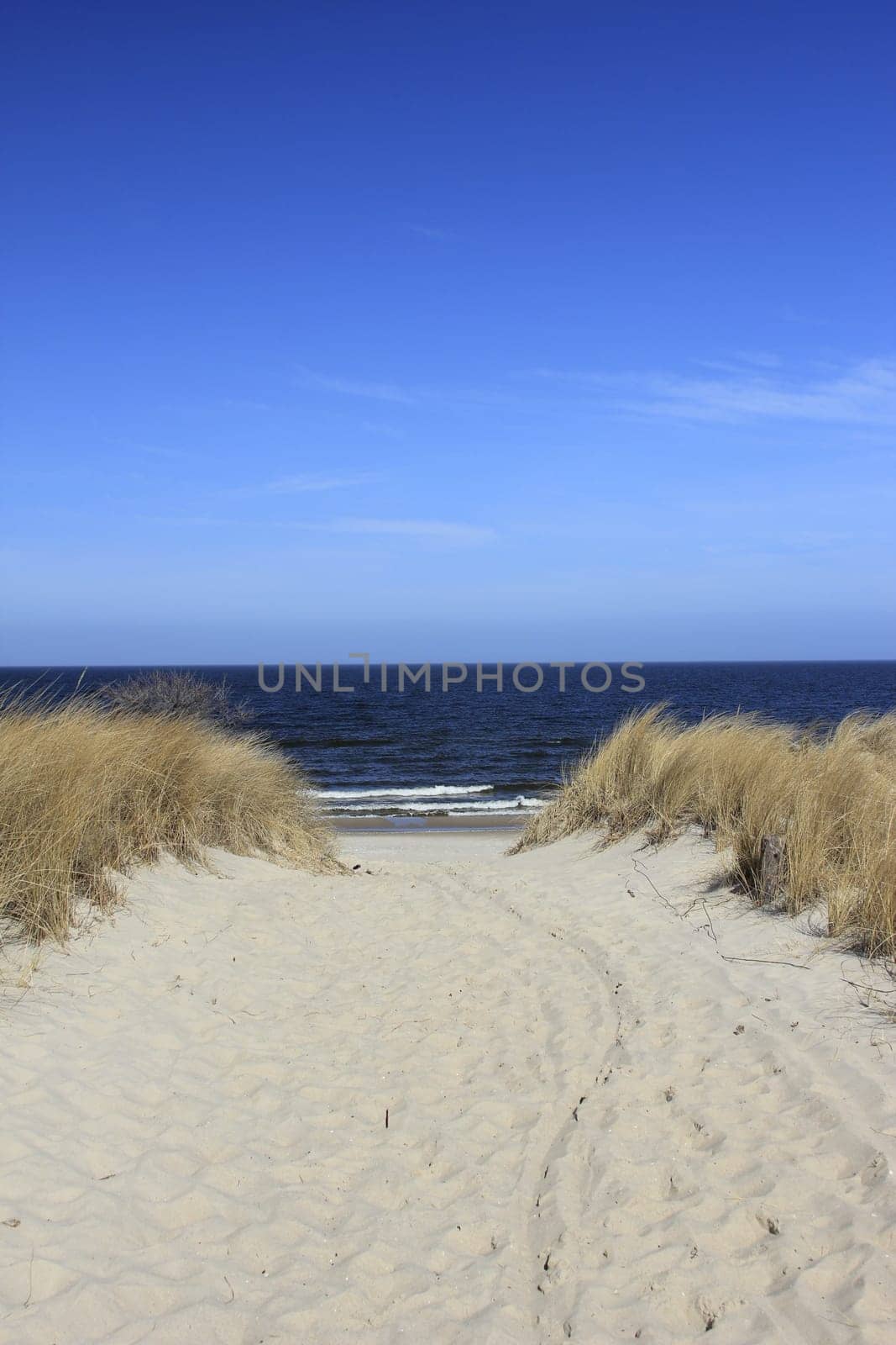 romantic path to the beach
