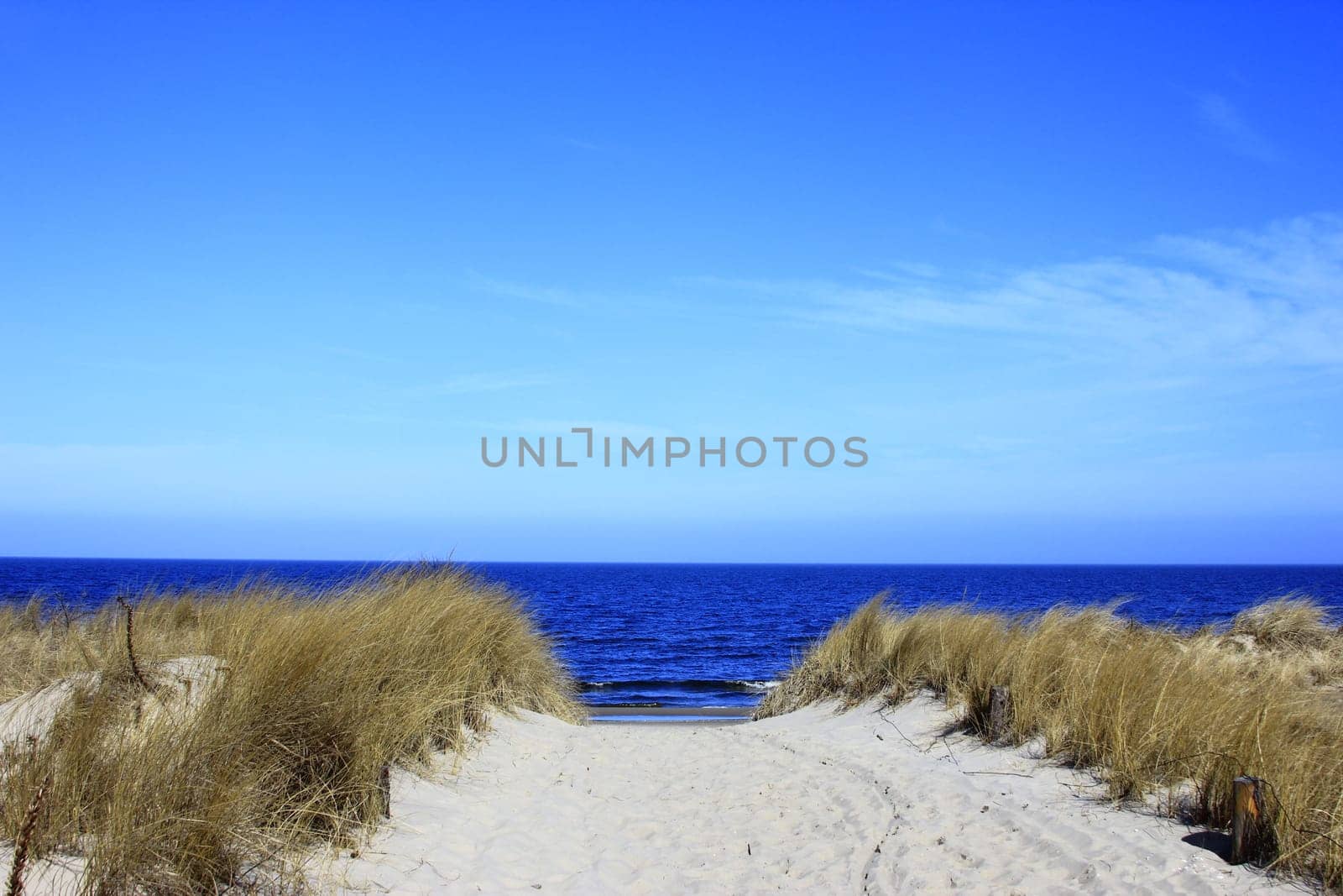 romantic path to the beach
