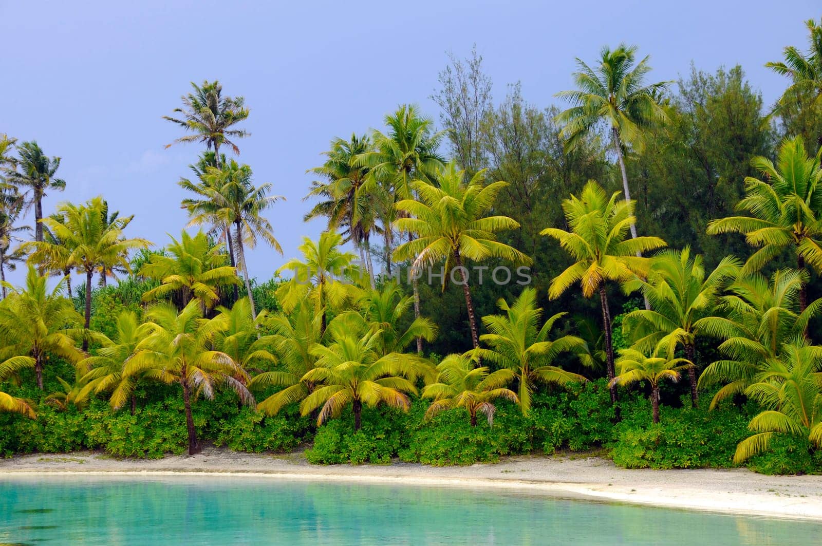 Palm beach