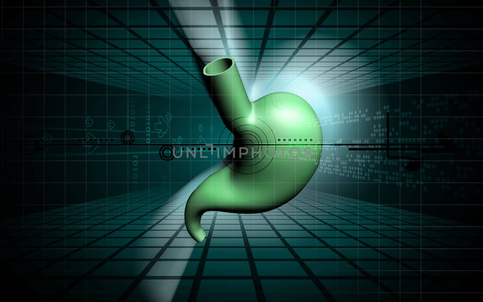 Digital illustration of stomach in colour background
