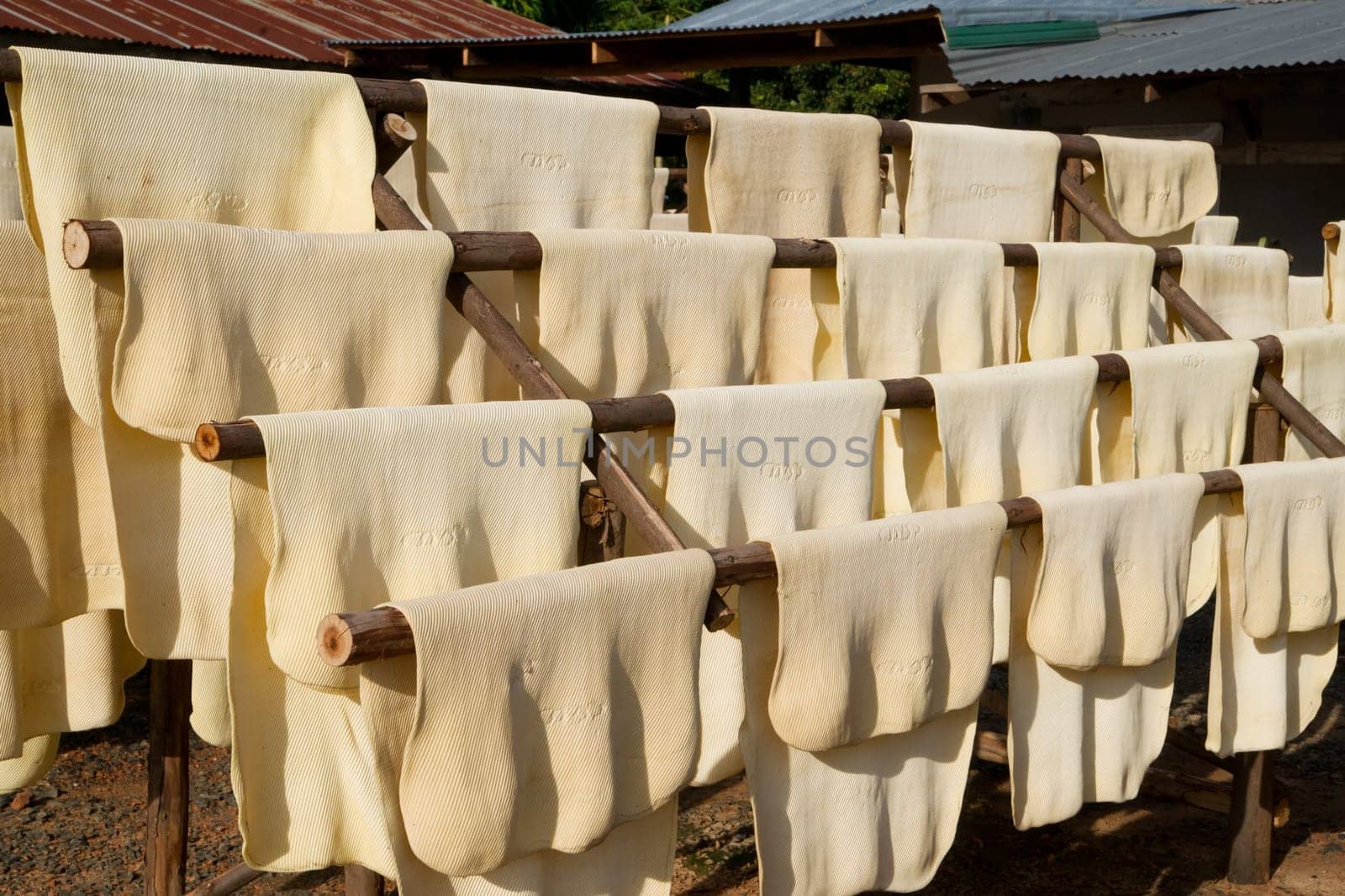 Drying of raw gum in a thai factory