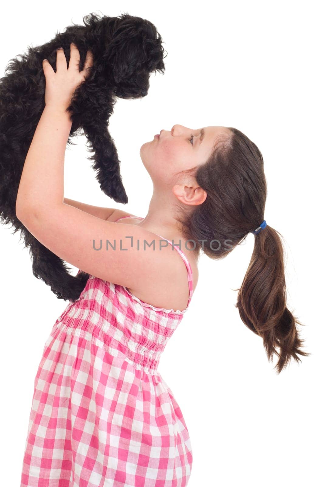 adorable little girl kissing her dog (isolated on white background)