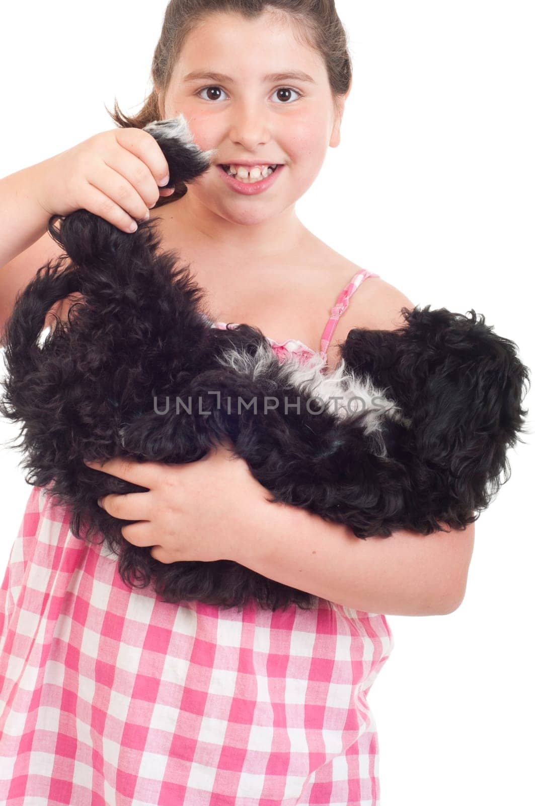 adorable little girl playing with her dog (isolated on white background)