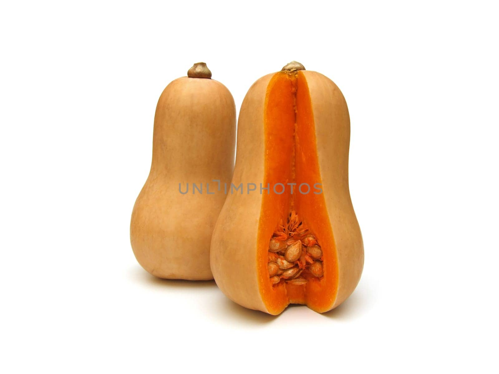 some butternut squash (Cucurbita moschata)