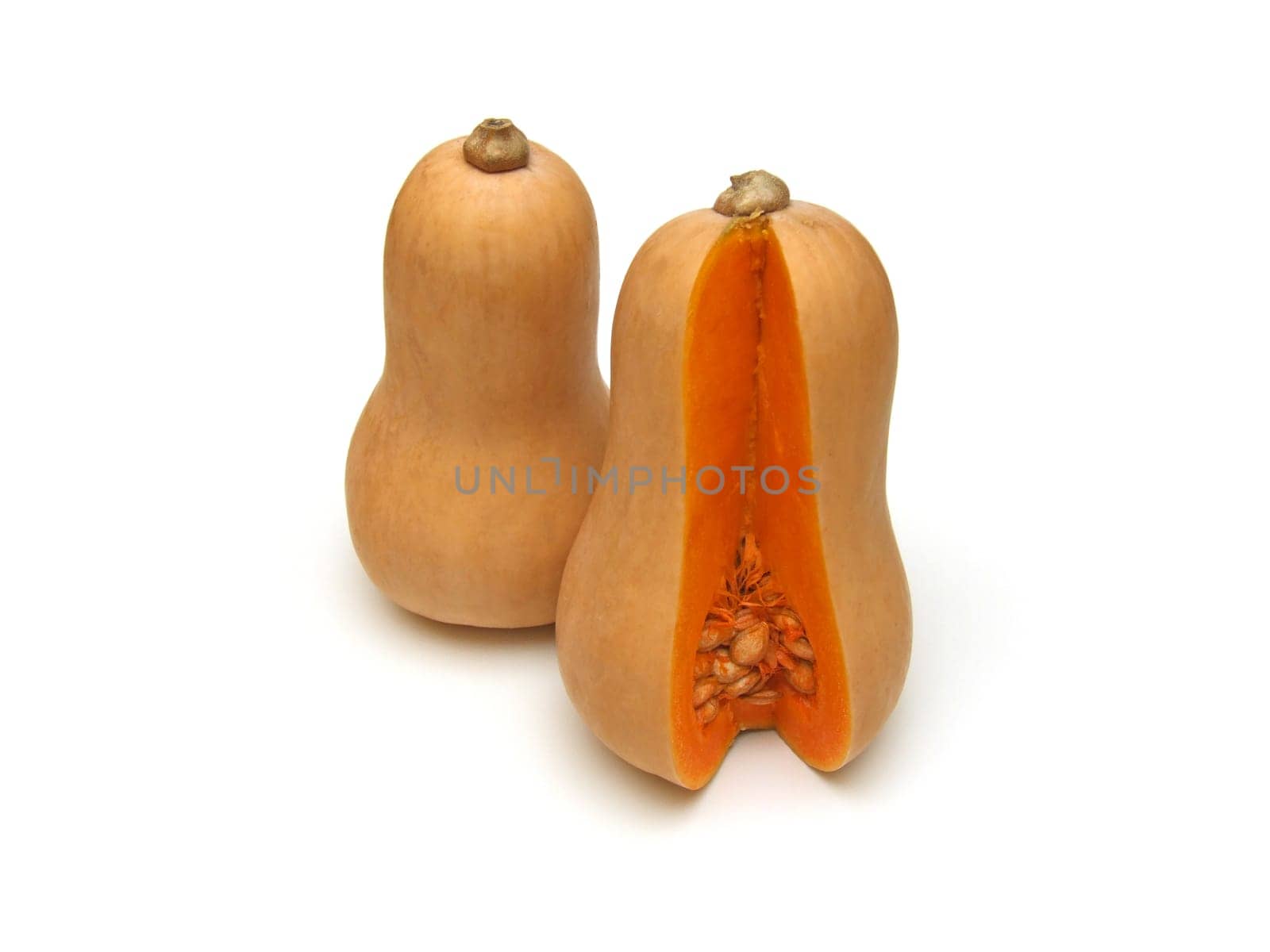 some butternut squash (Cucurbita moschata)
