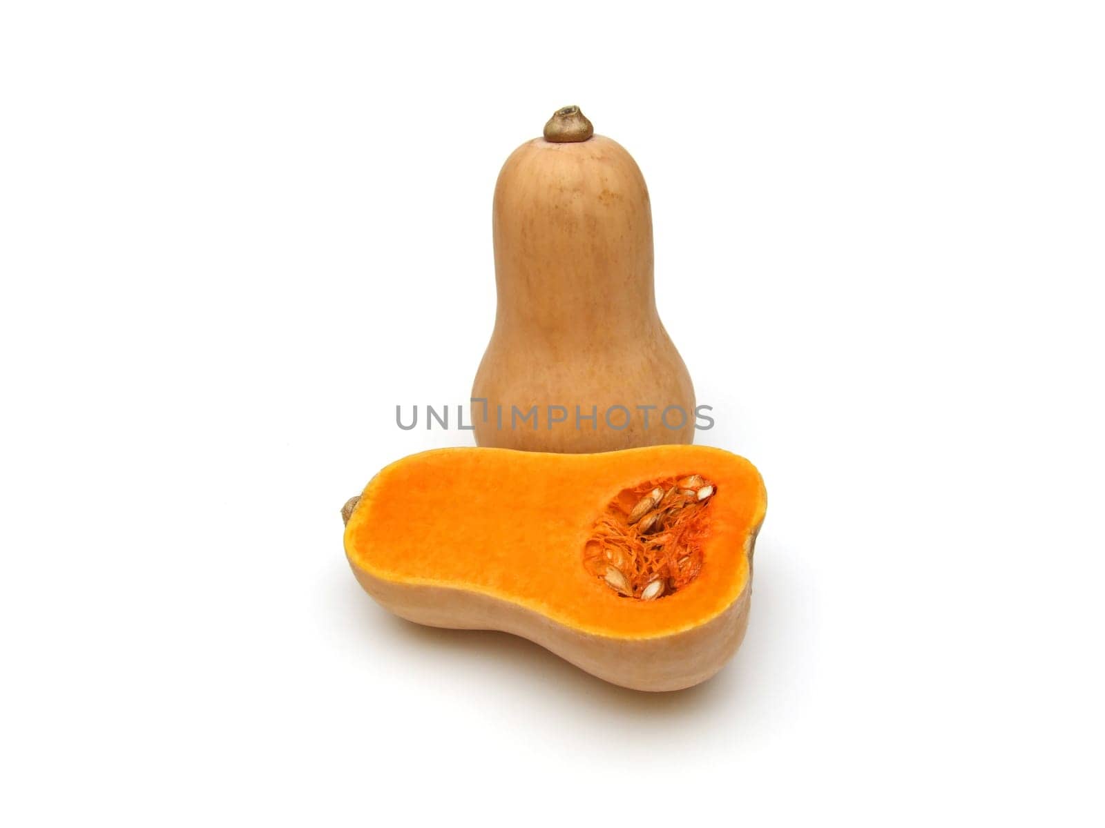 some butternut squash (Cucurbita moschata)
