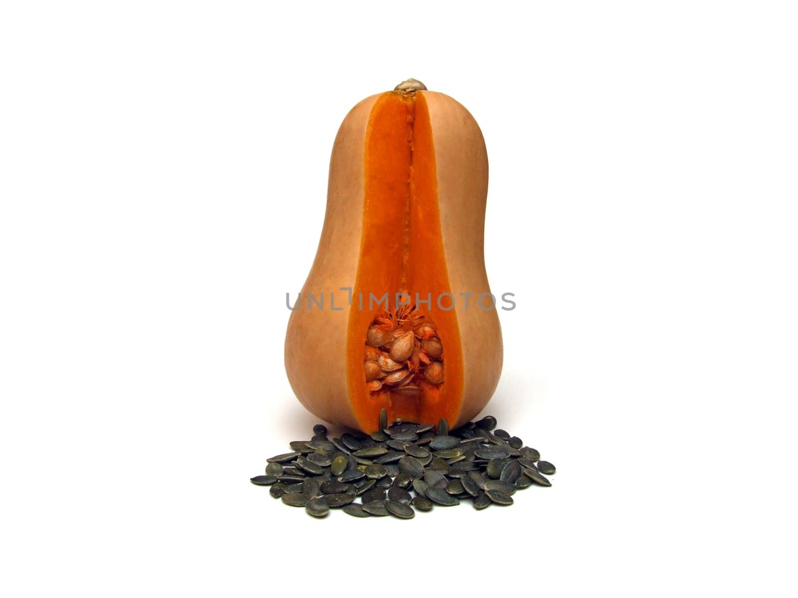 some butternut squash (Cucurbita moschata)