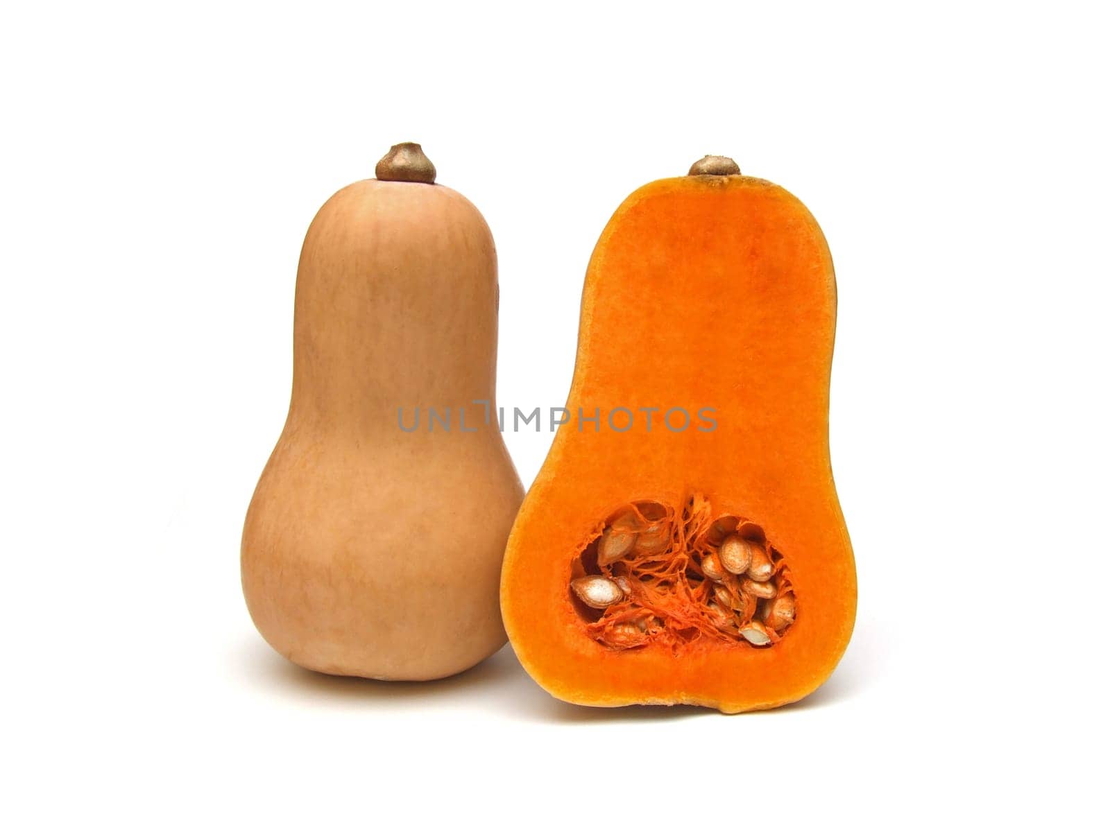 some butternut squash (Cucurbita moschata)