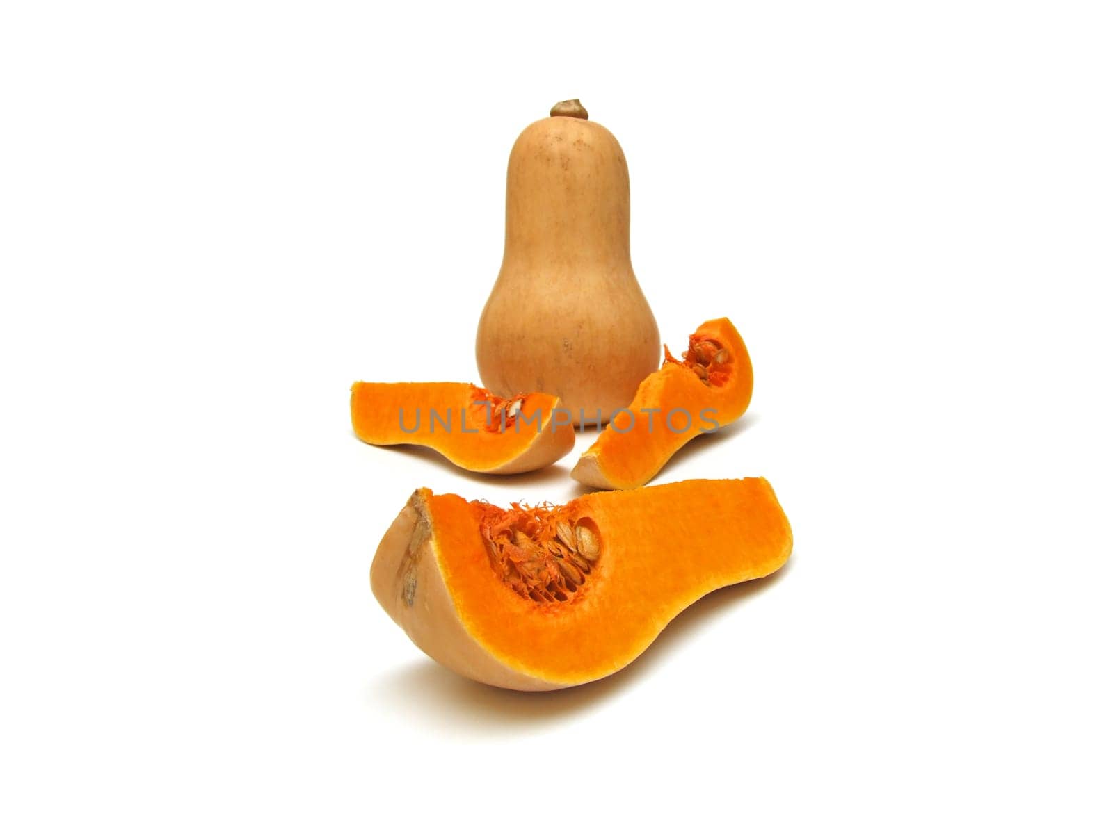 some butternut squash (Cucurbita moschata)