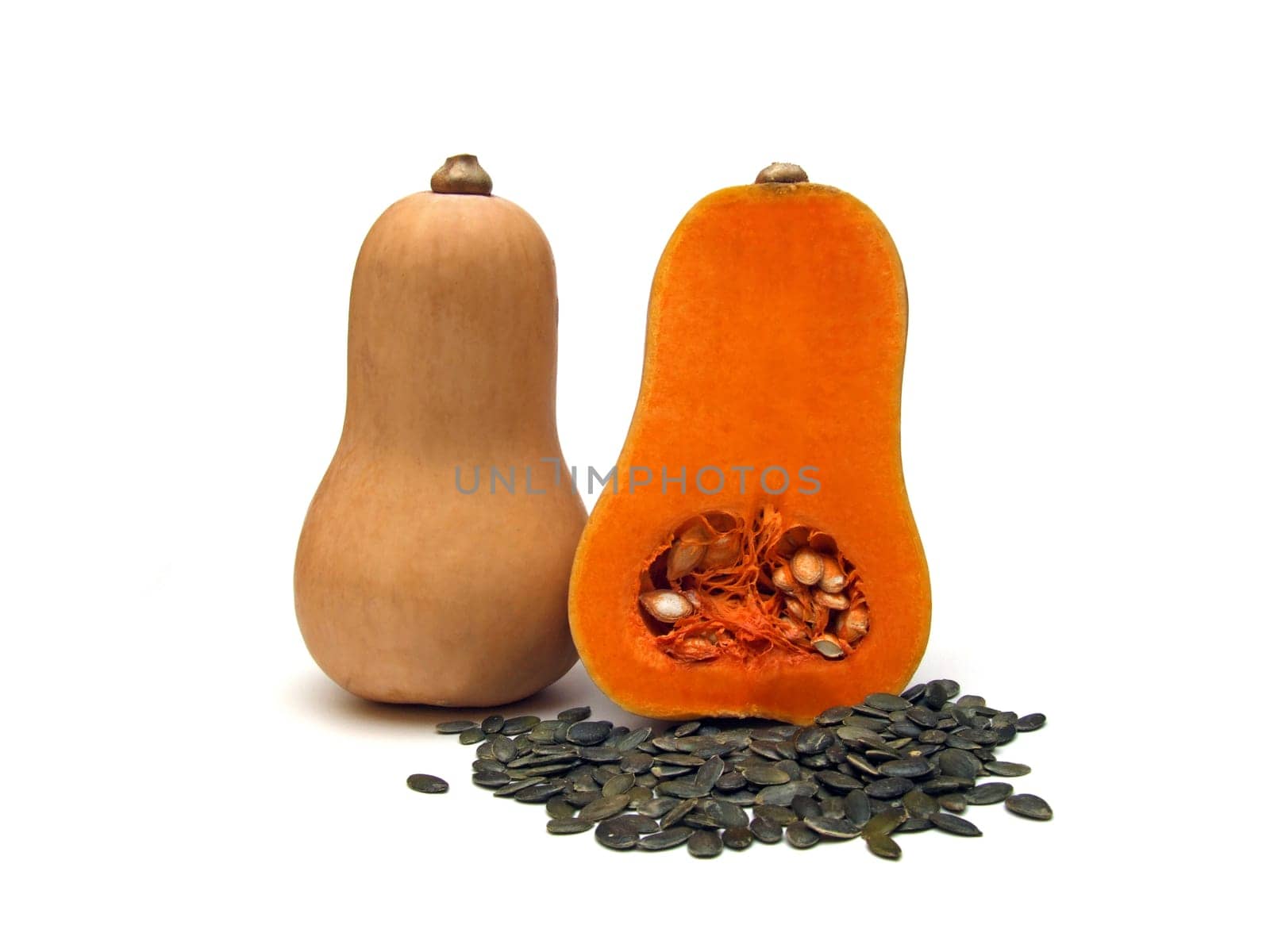 some butternut squash (Cucurbita moschata)
