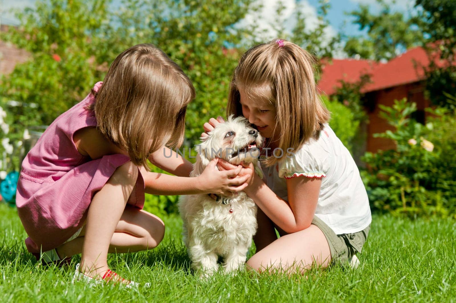 Small cute girls playing with her dog in garden behind family house