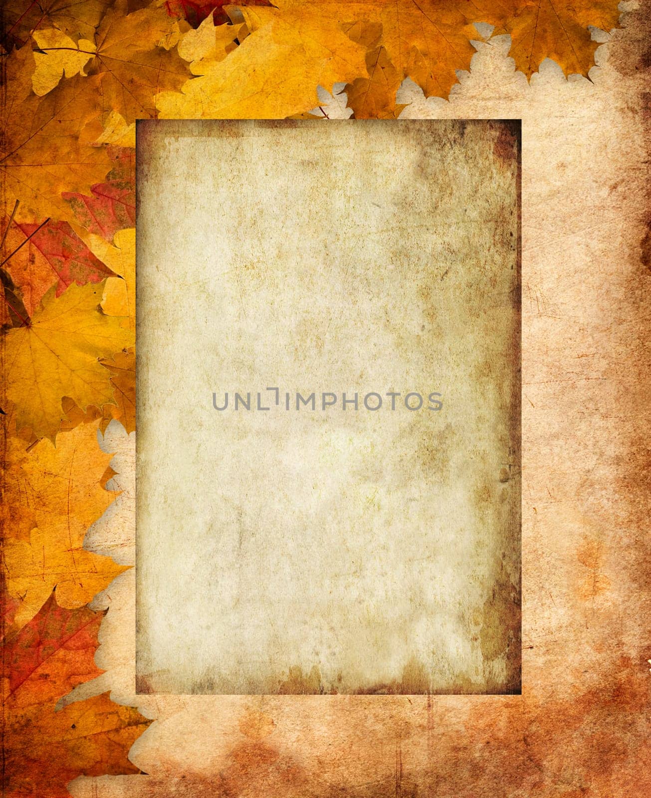 Abstract Background Composition - Autumn Leaves with empty board
