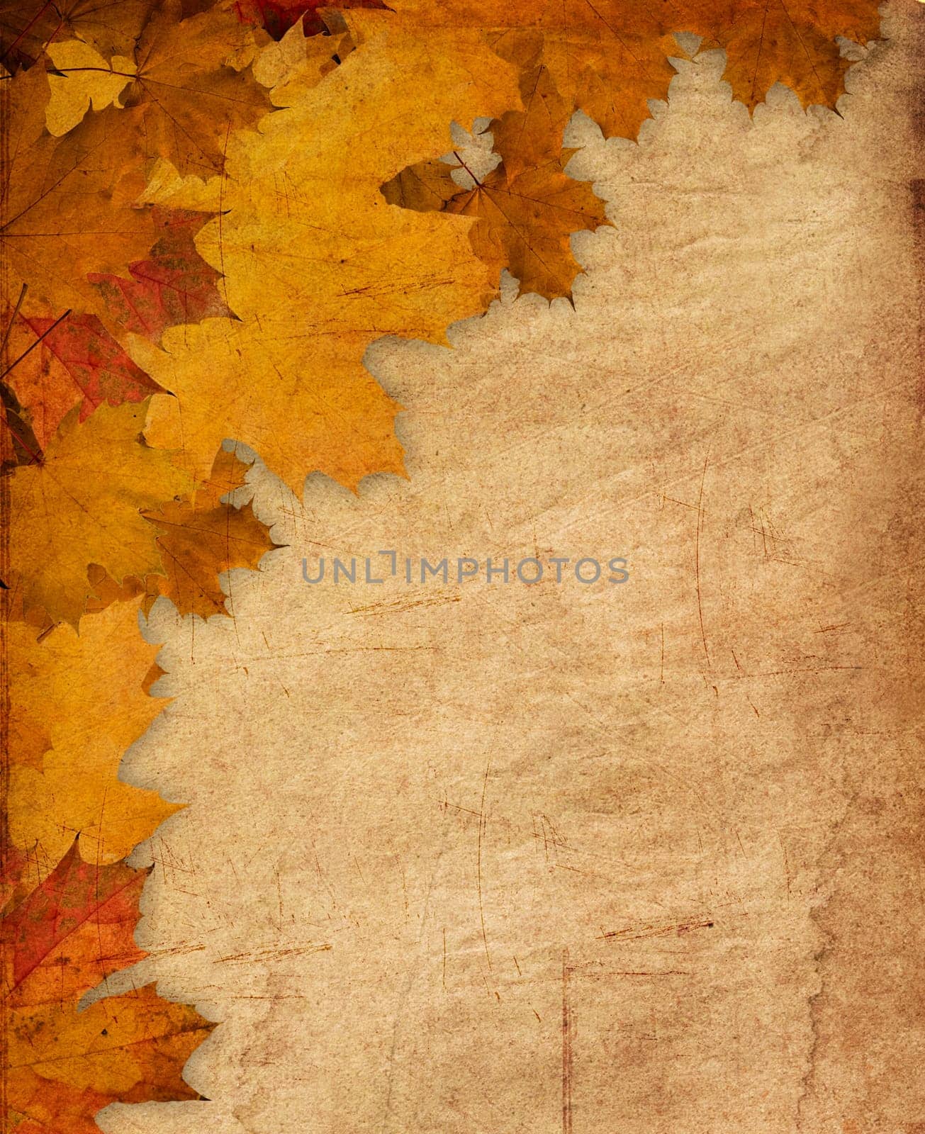 Abstract Background Composition - Autumn Leaves with empty board