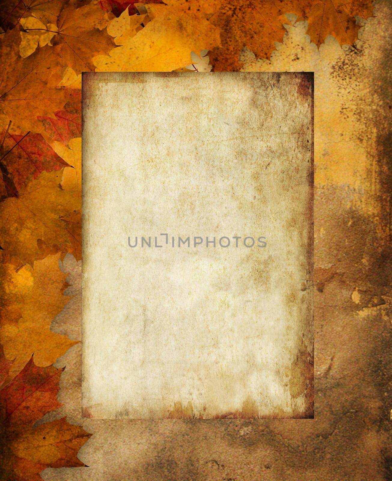 Abstract Background Composition - Autumn Leaves with empty board