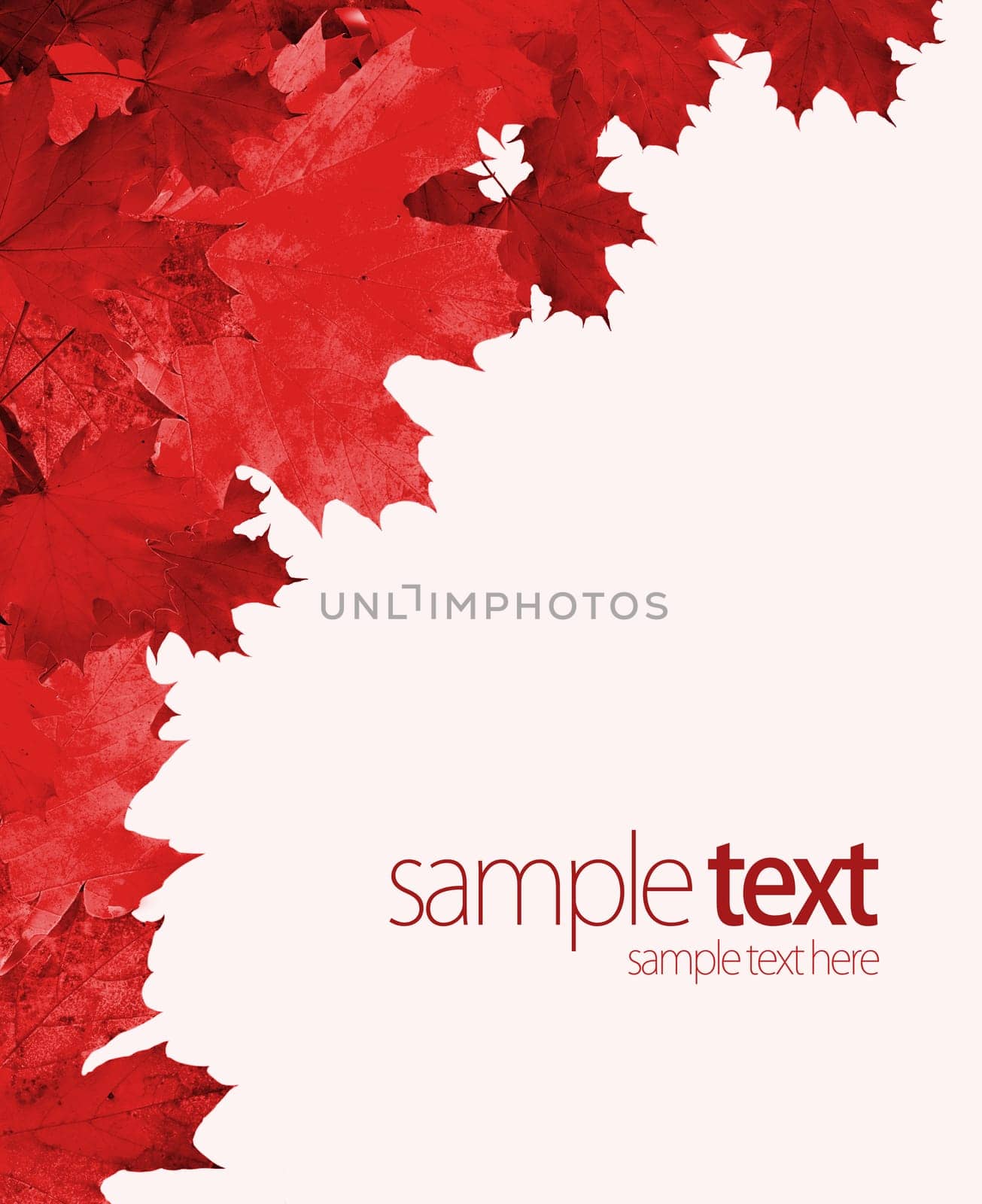 Abstract Background Composition - Autumn Leaves with empty board